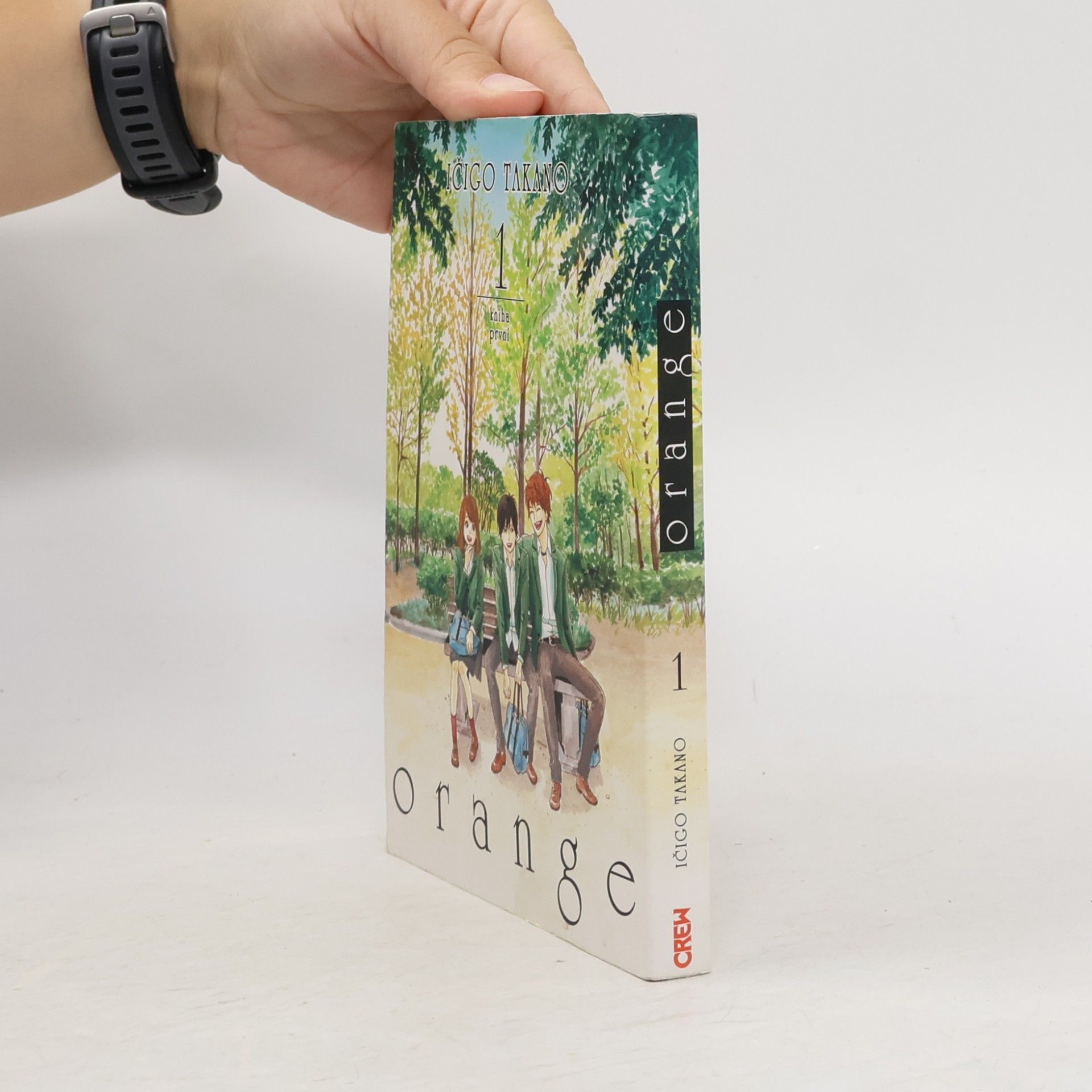 Ičigo Takano Orange 1