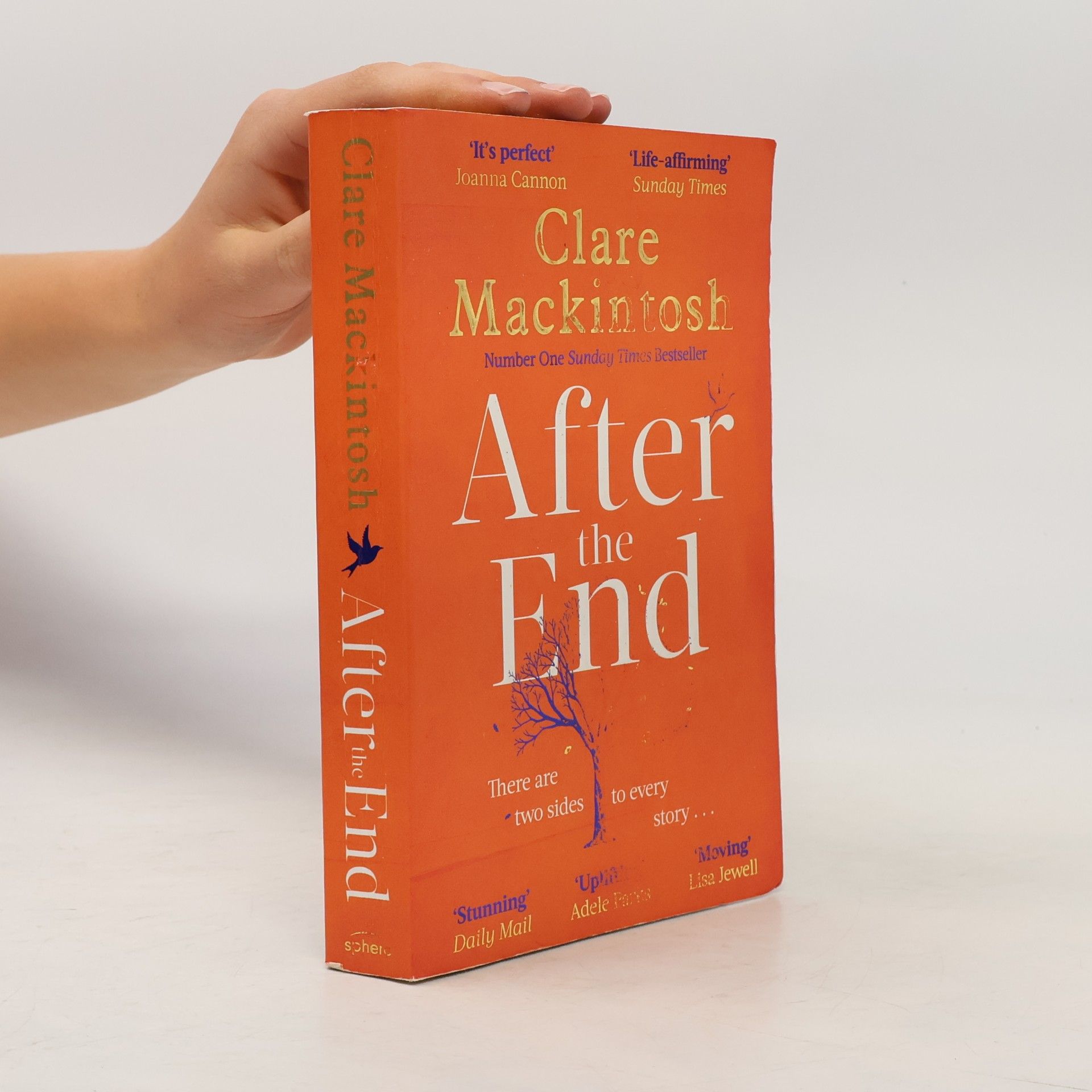 Clare Mackintosch After the End