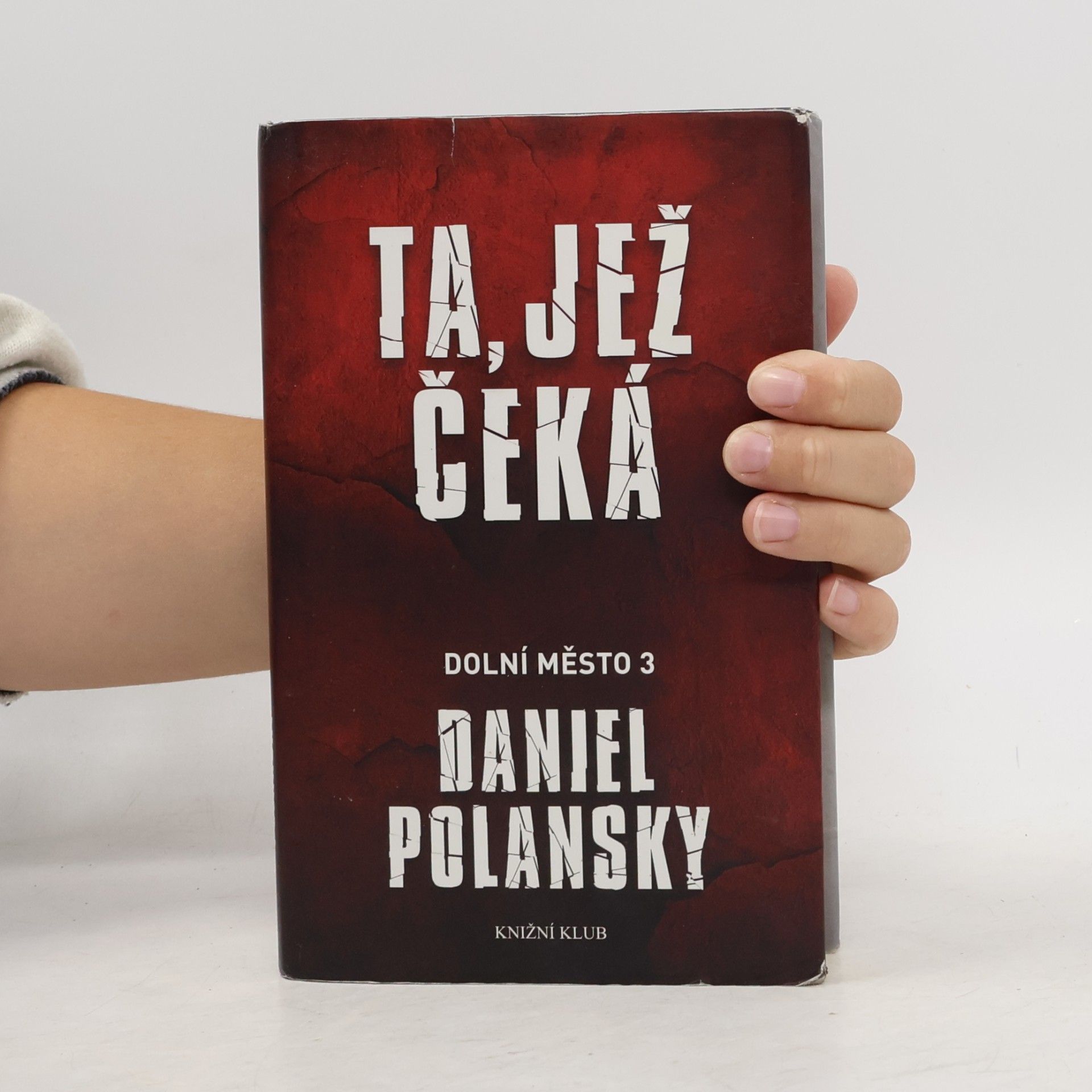 Daniel Polansky Ta, jež čeká