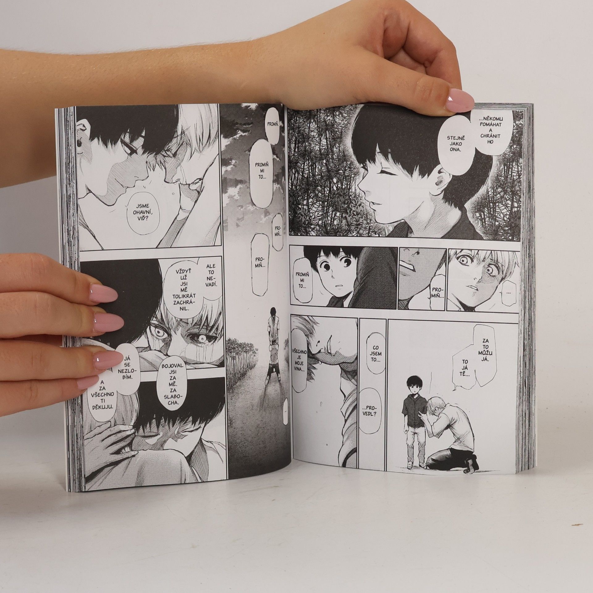 Sui Ishida Tokijský ghúl 14