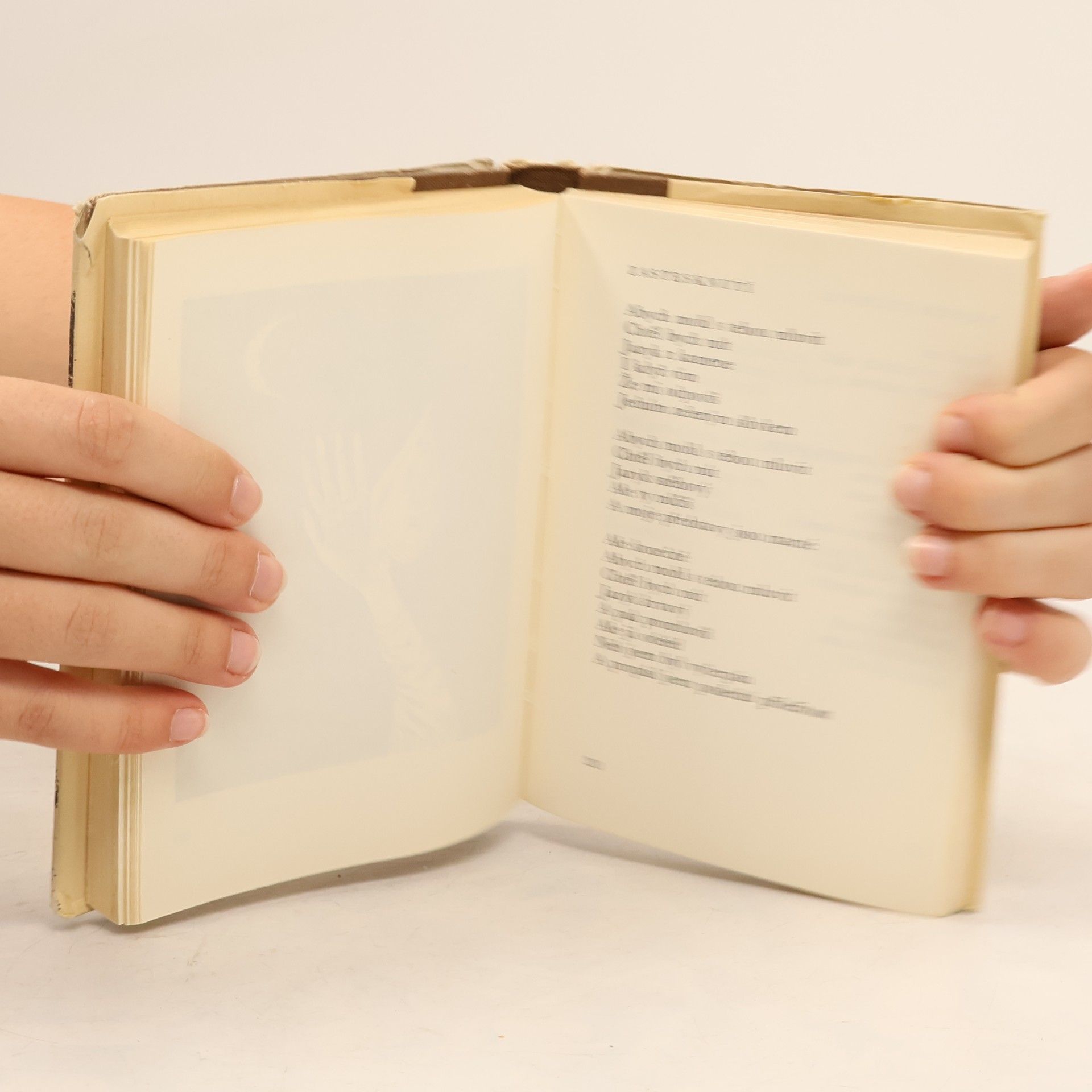 Oldřich Wenzl Veškerá poezie