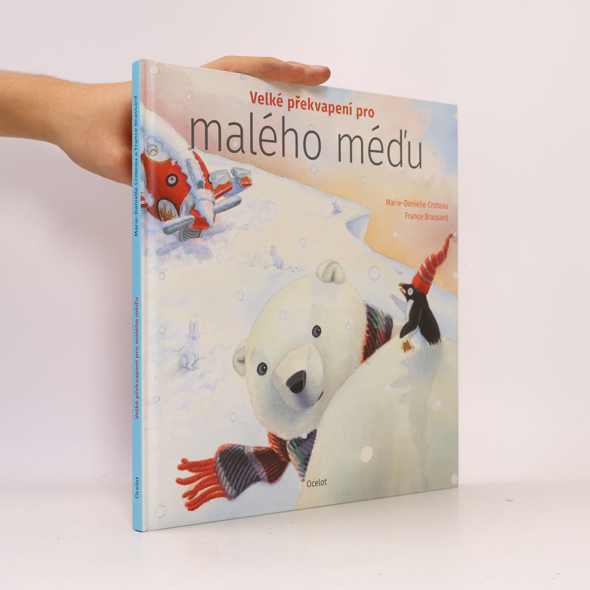 MarieDanielle Croteau Velké překvapení pro malého méďu