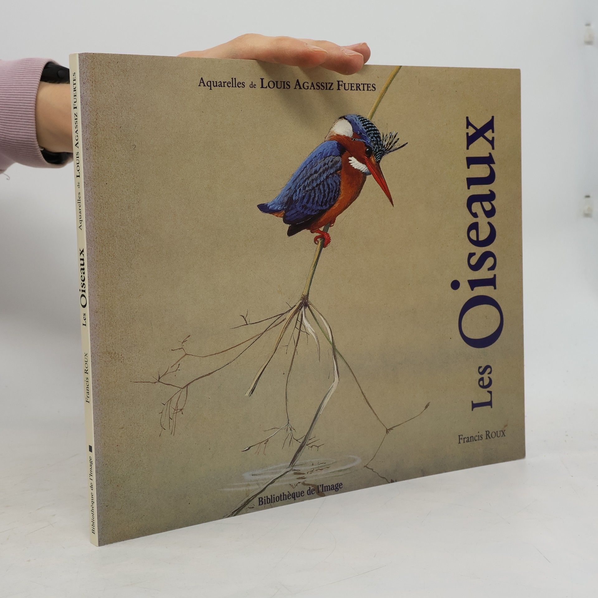 Les Oiseaux, Aquarelles de Louis Agassiz Fuertes
