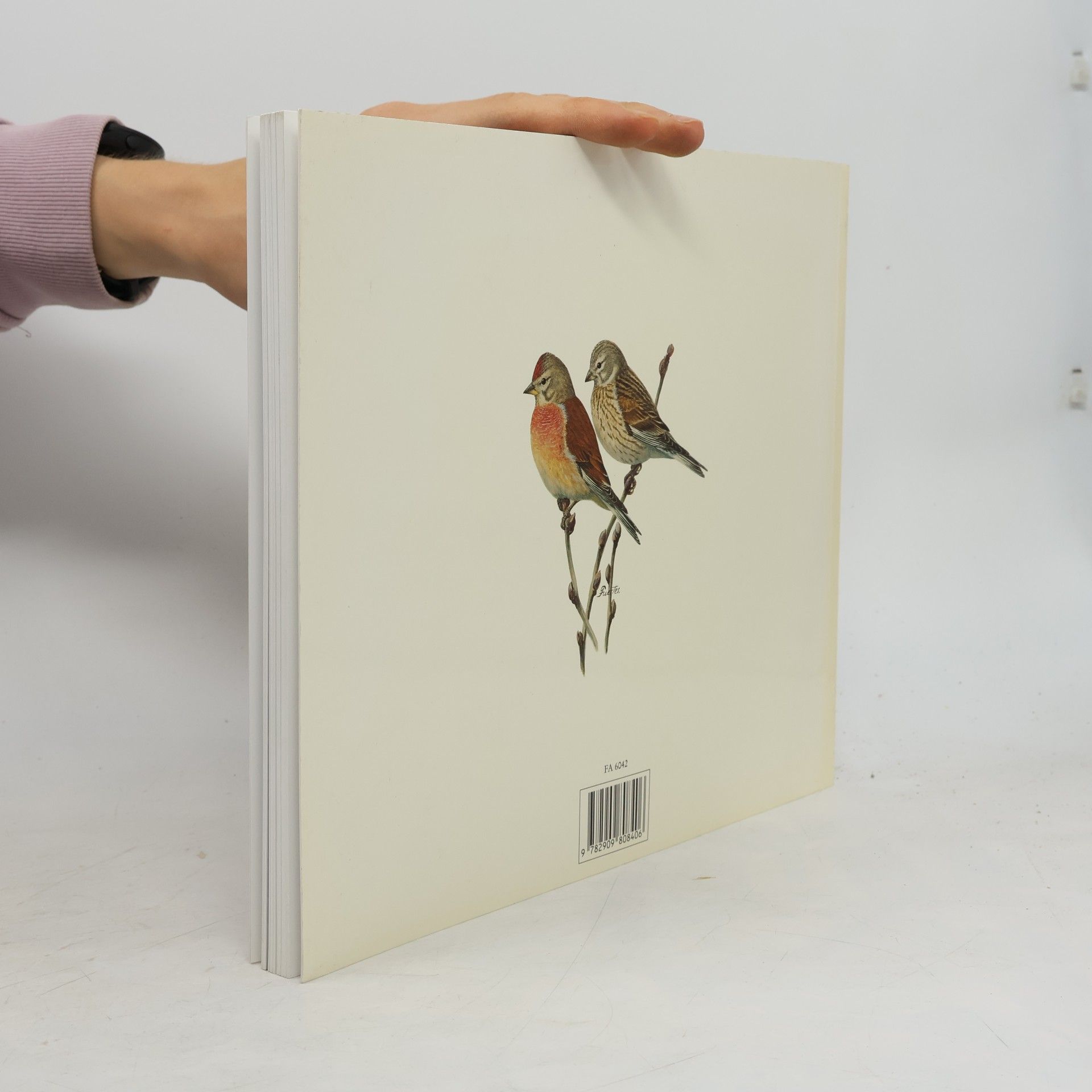 Francis Roux Les Oiseaux, Aquarelles de Louis Agassiz Fuertes