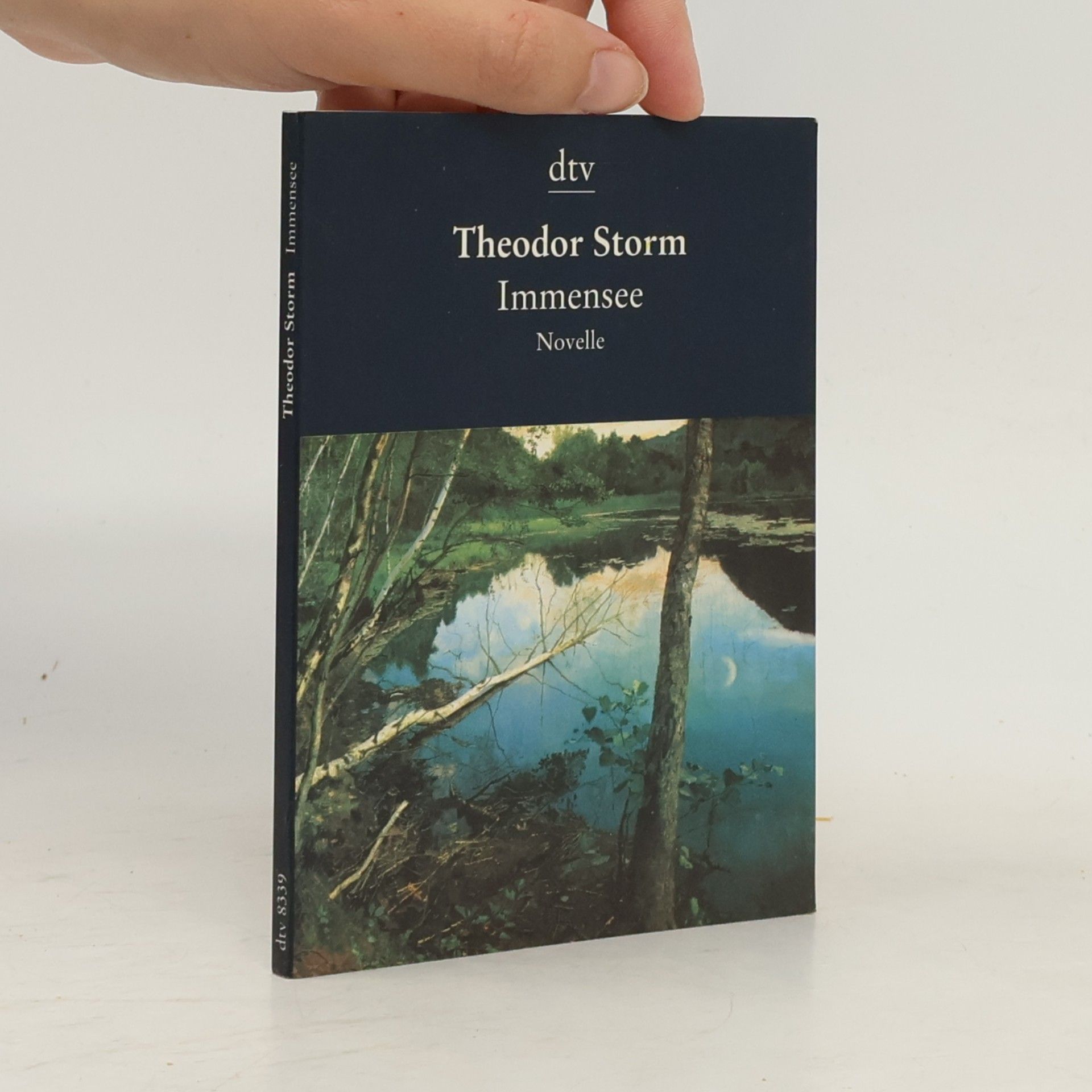 Theodor Storm Immensee