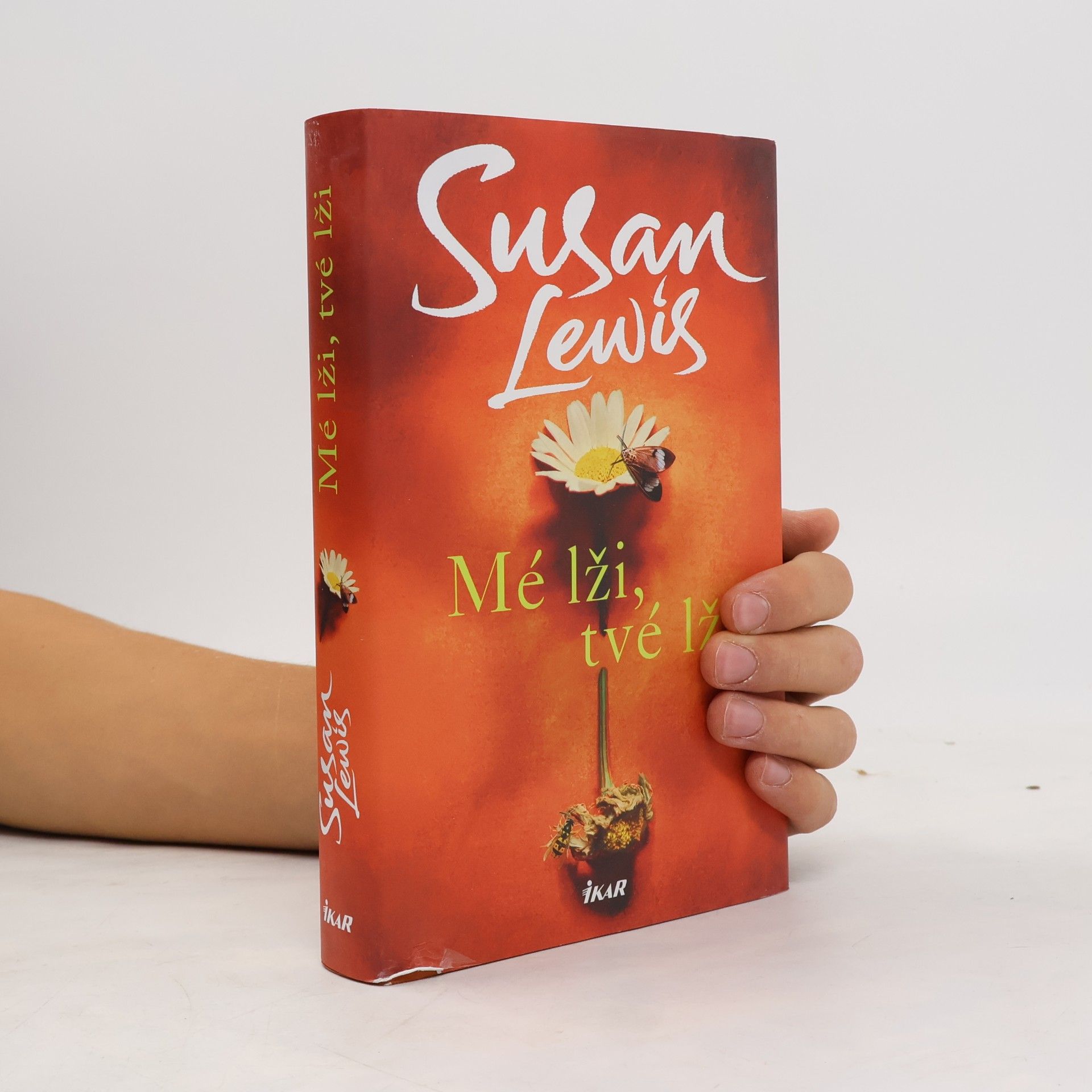 Susan Lewis Mé lži, tvé lži