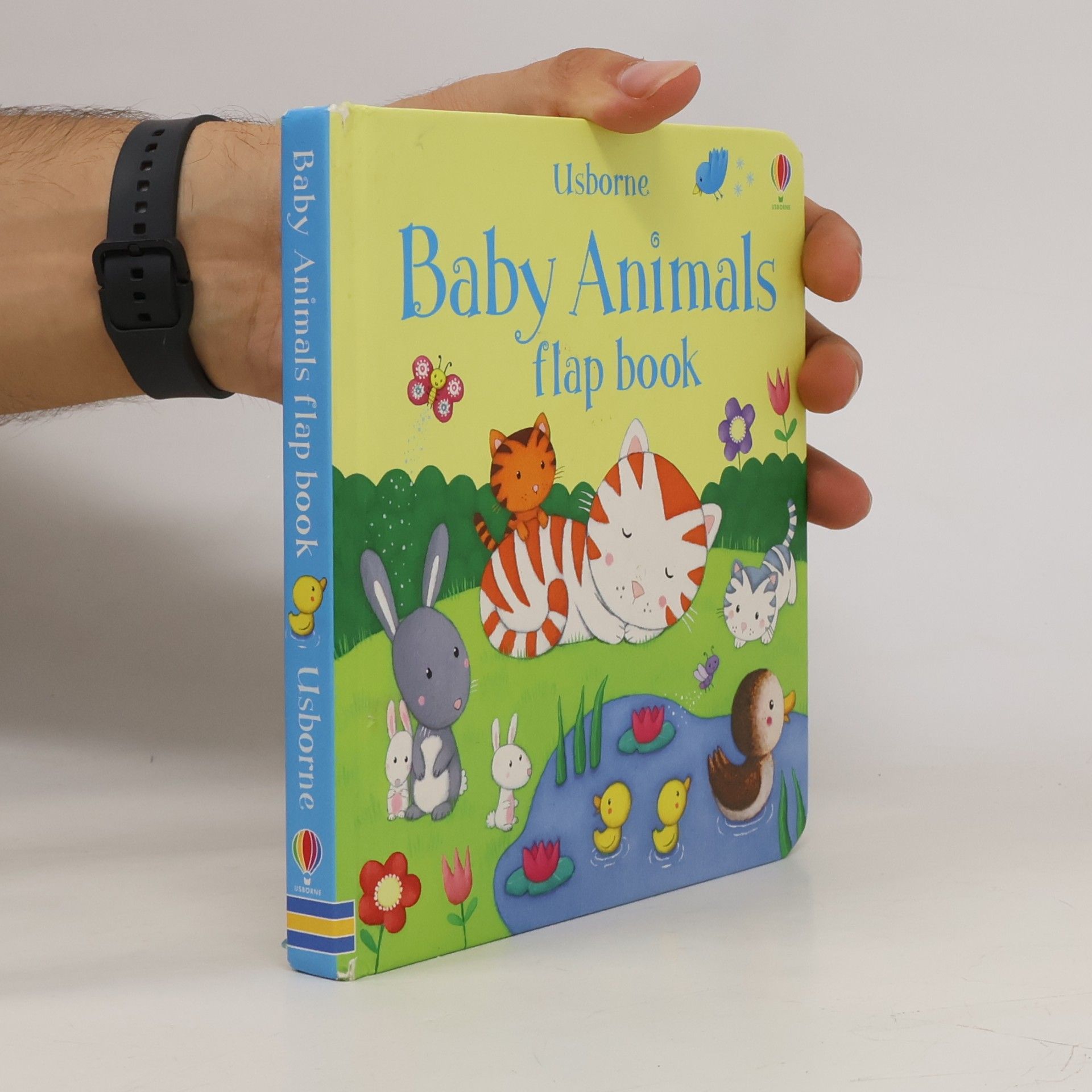 Sam Taplin Baby Animals Flap Book