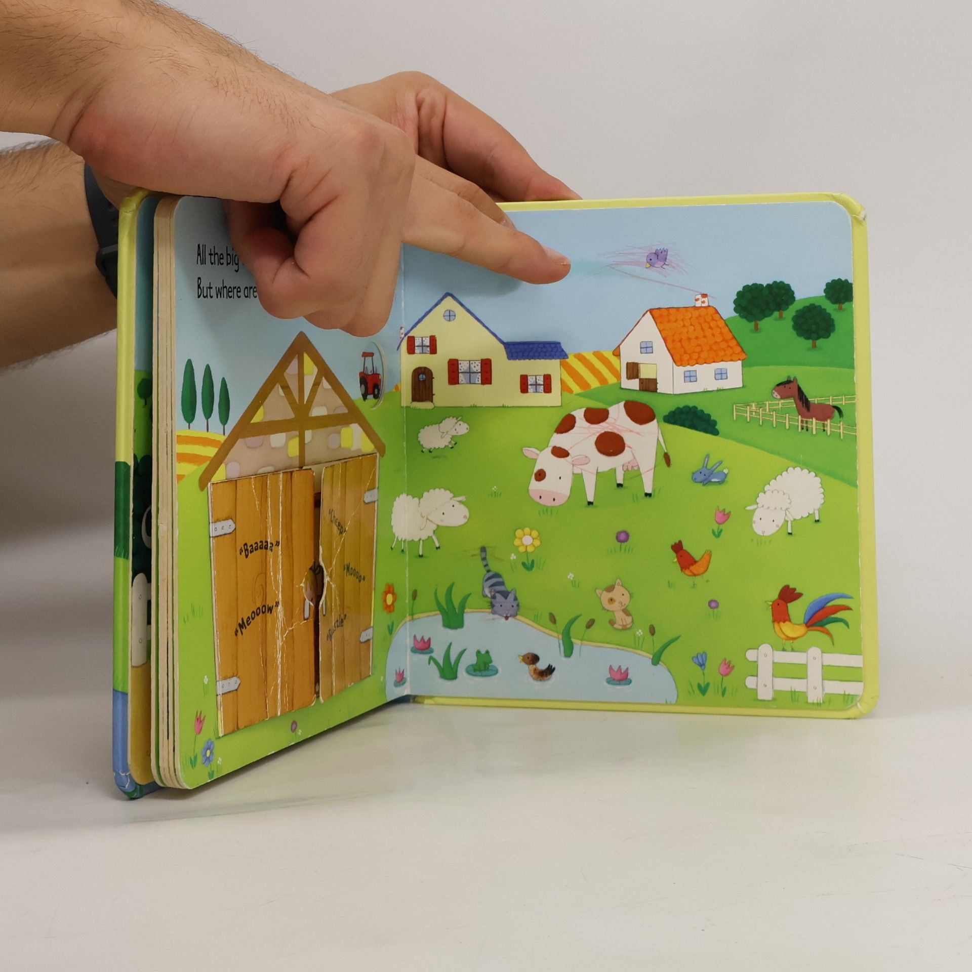 Sam Taplin Baby Animals Flap Book