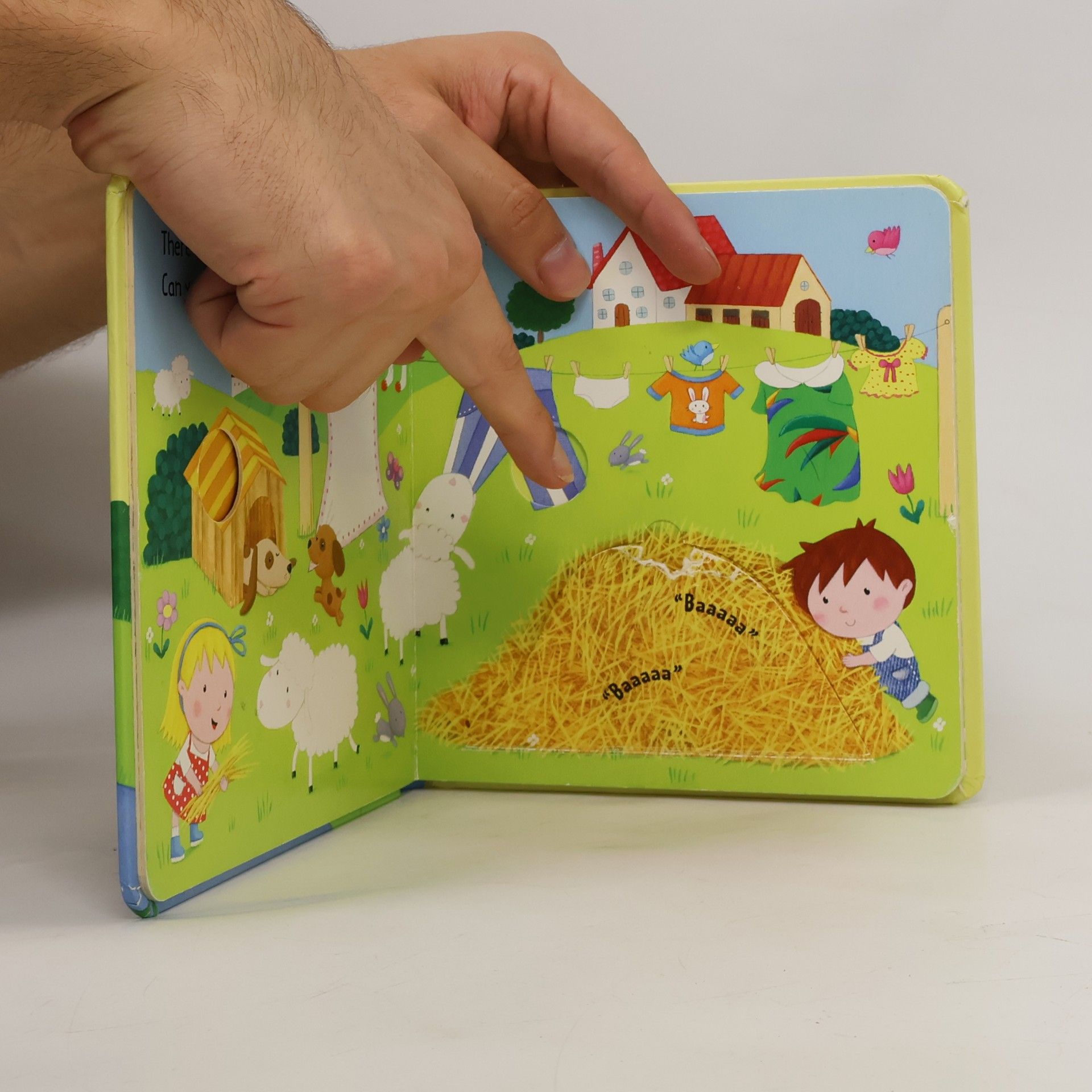 Sam Taplin Baby Animals Flap Book
