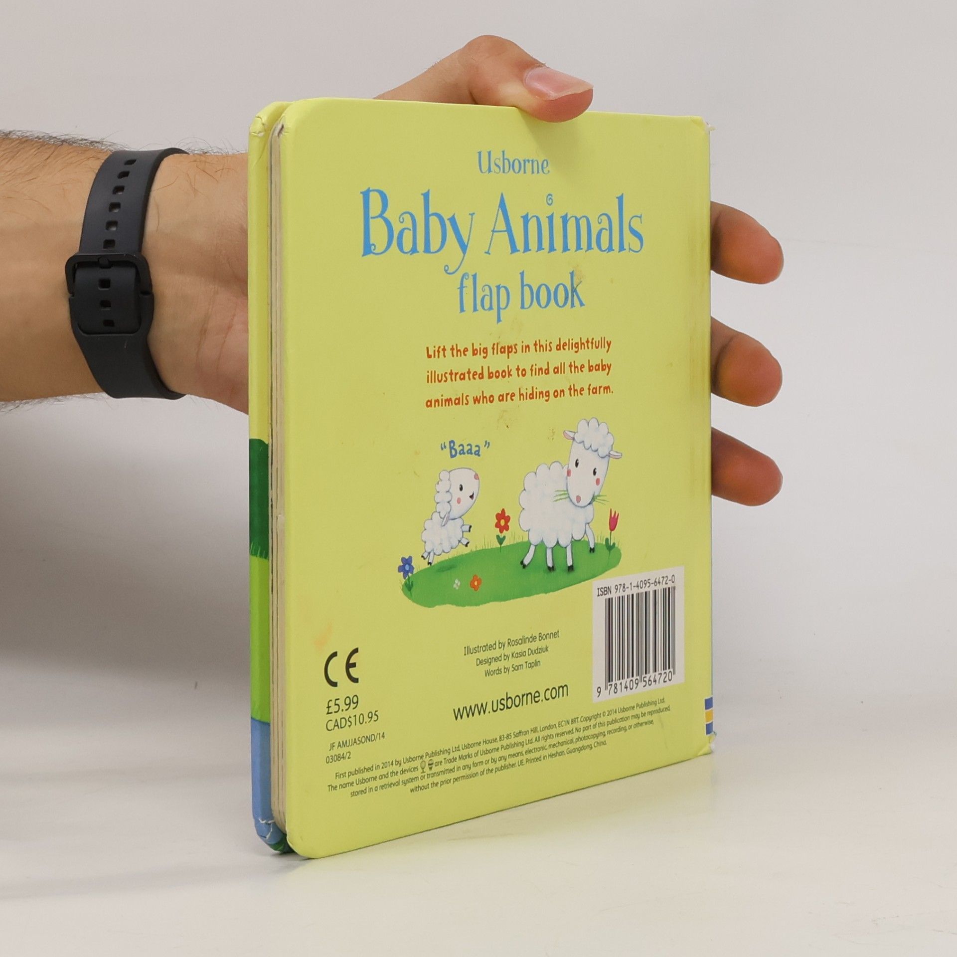 Sam Taplin Baby Animals Flap Book