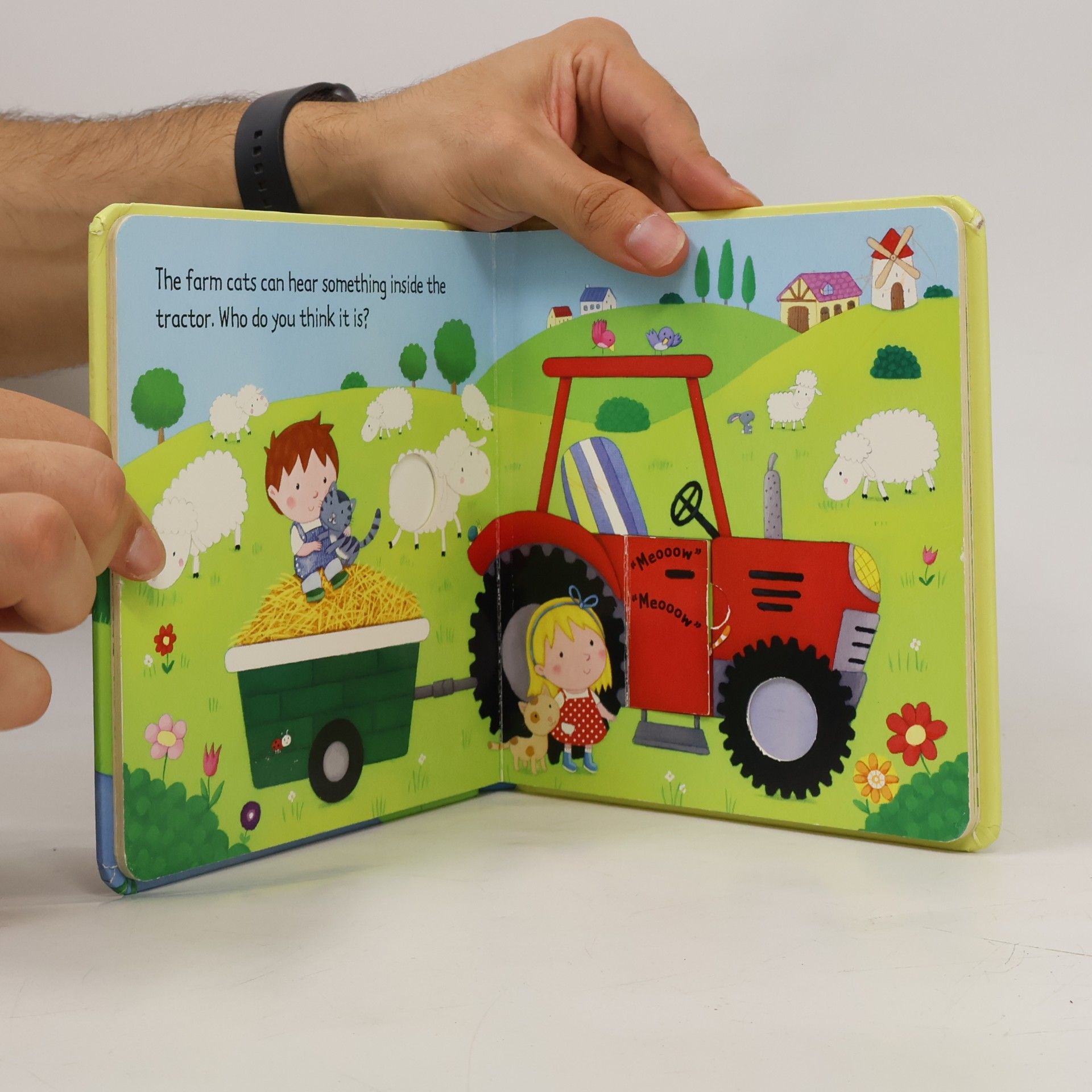 Sam Taplin Baby Animals Flap Book