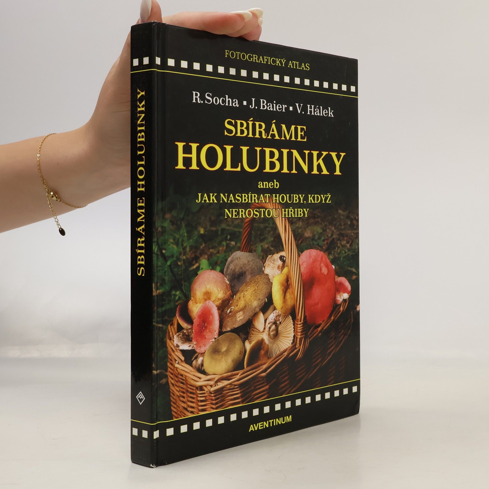 Radomír Socha Sbíráme holubinky