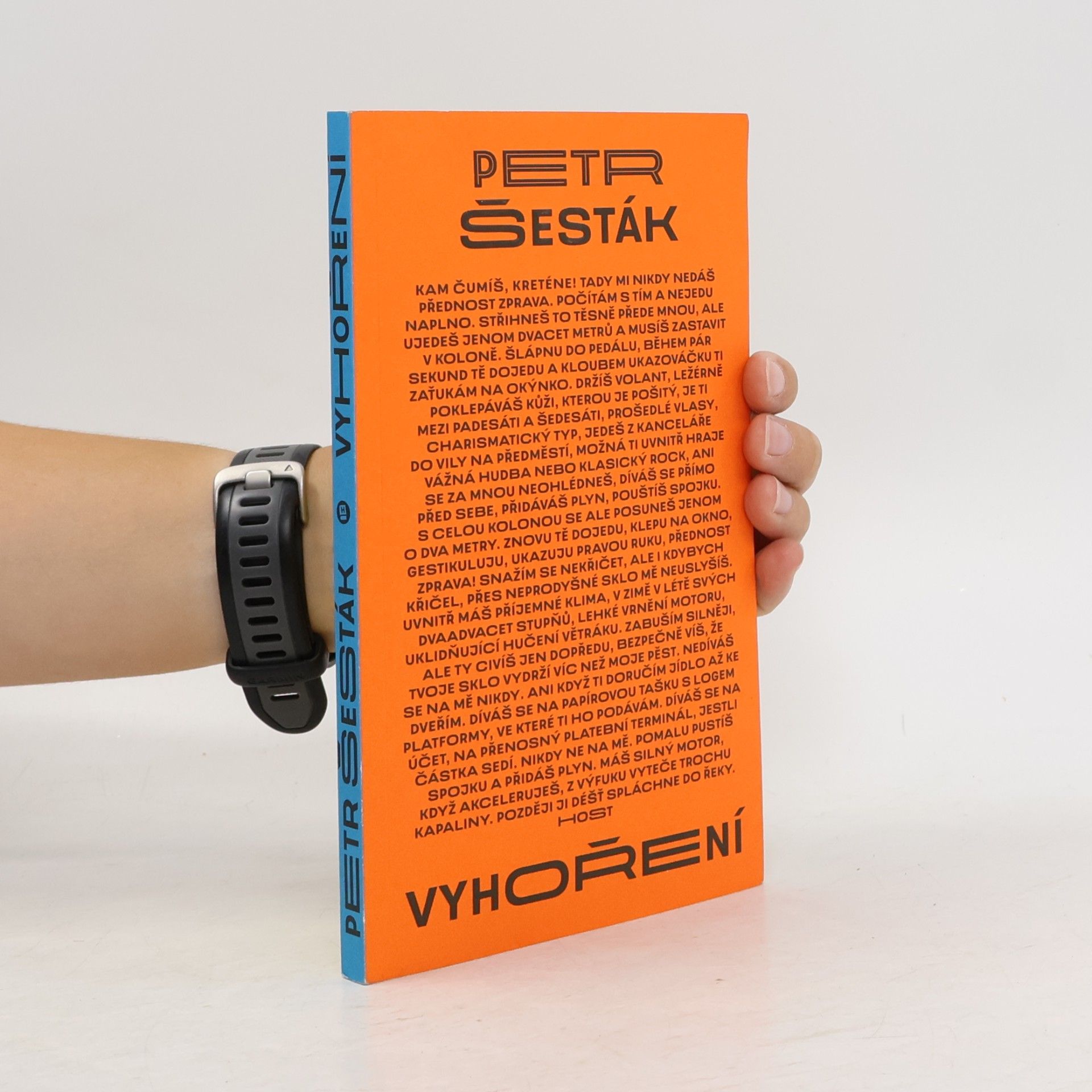 Petr Šesták Vyhoření