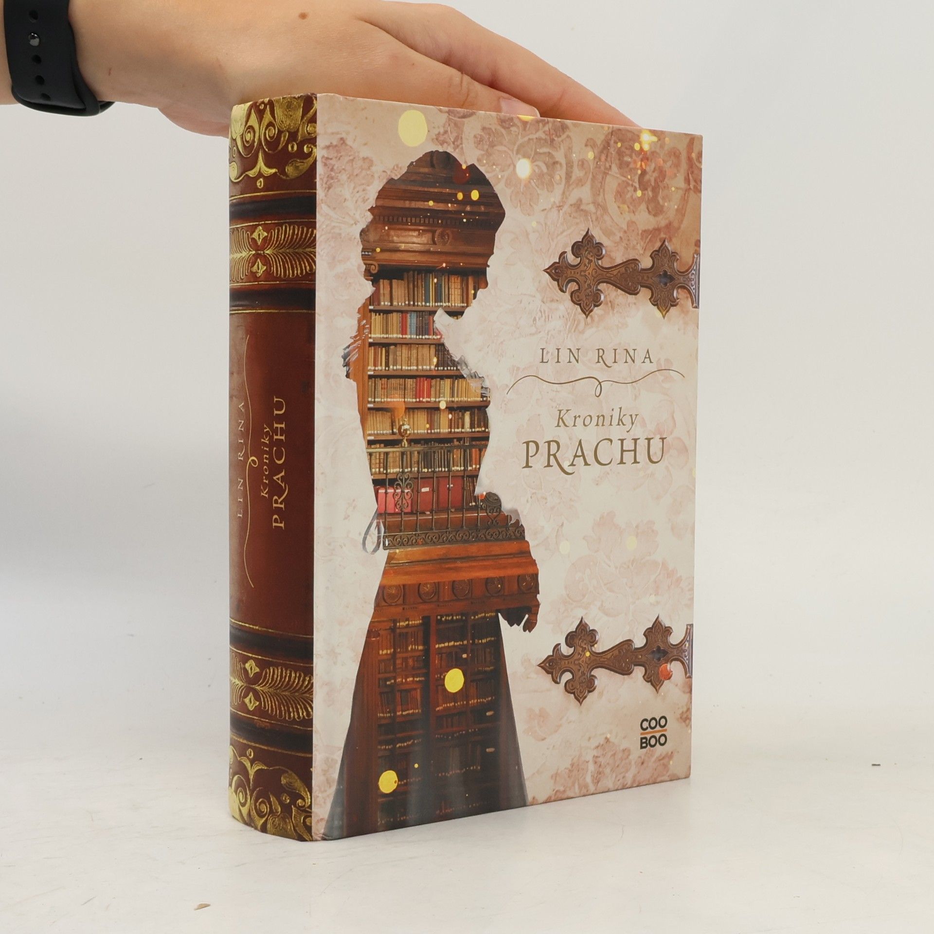 Lin Rina Kroniky prachu