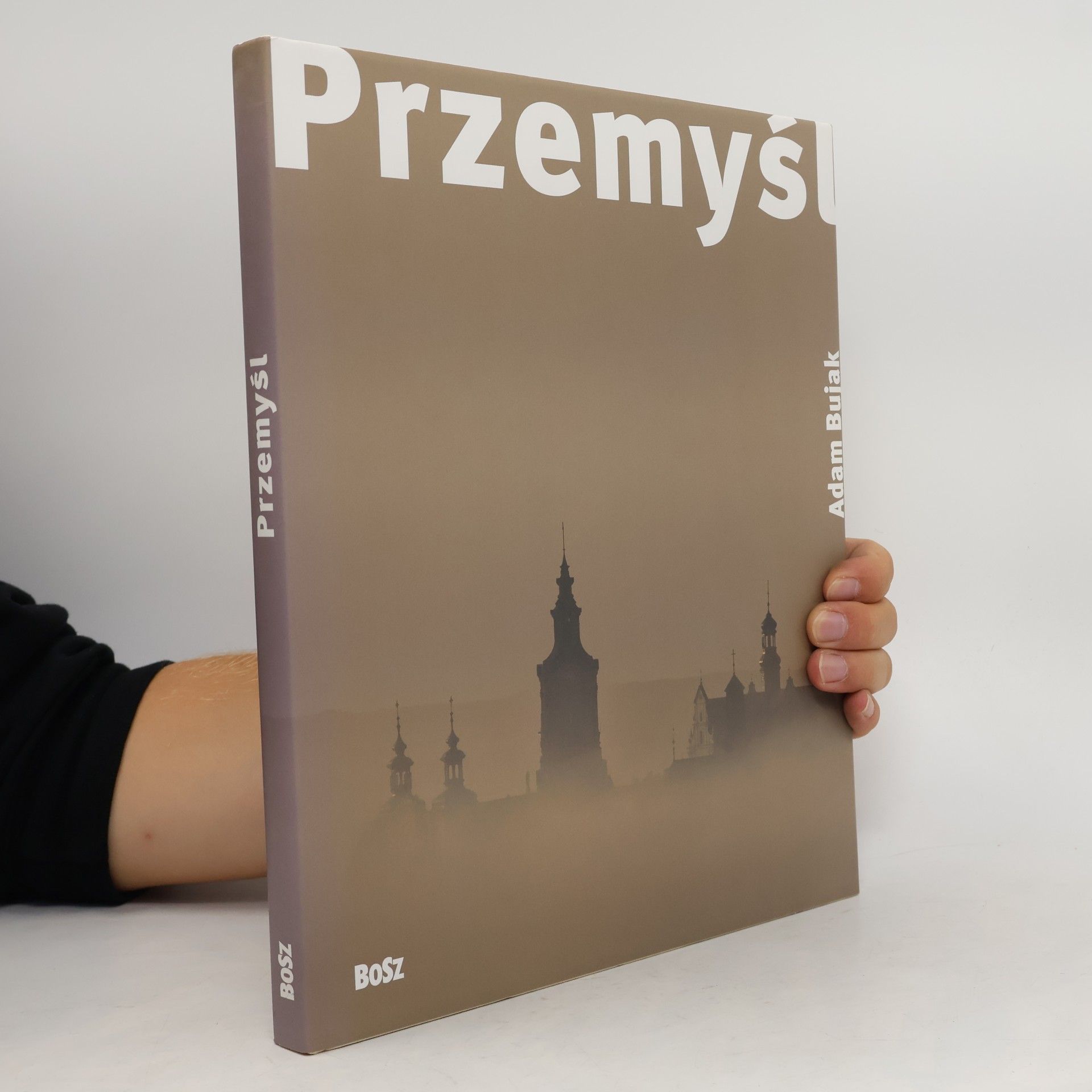 Adam Bujak Przemysł