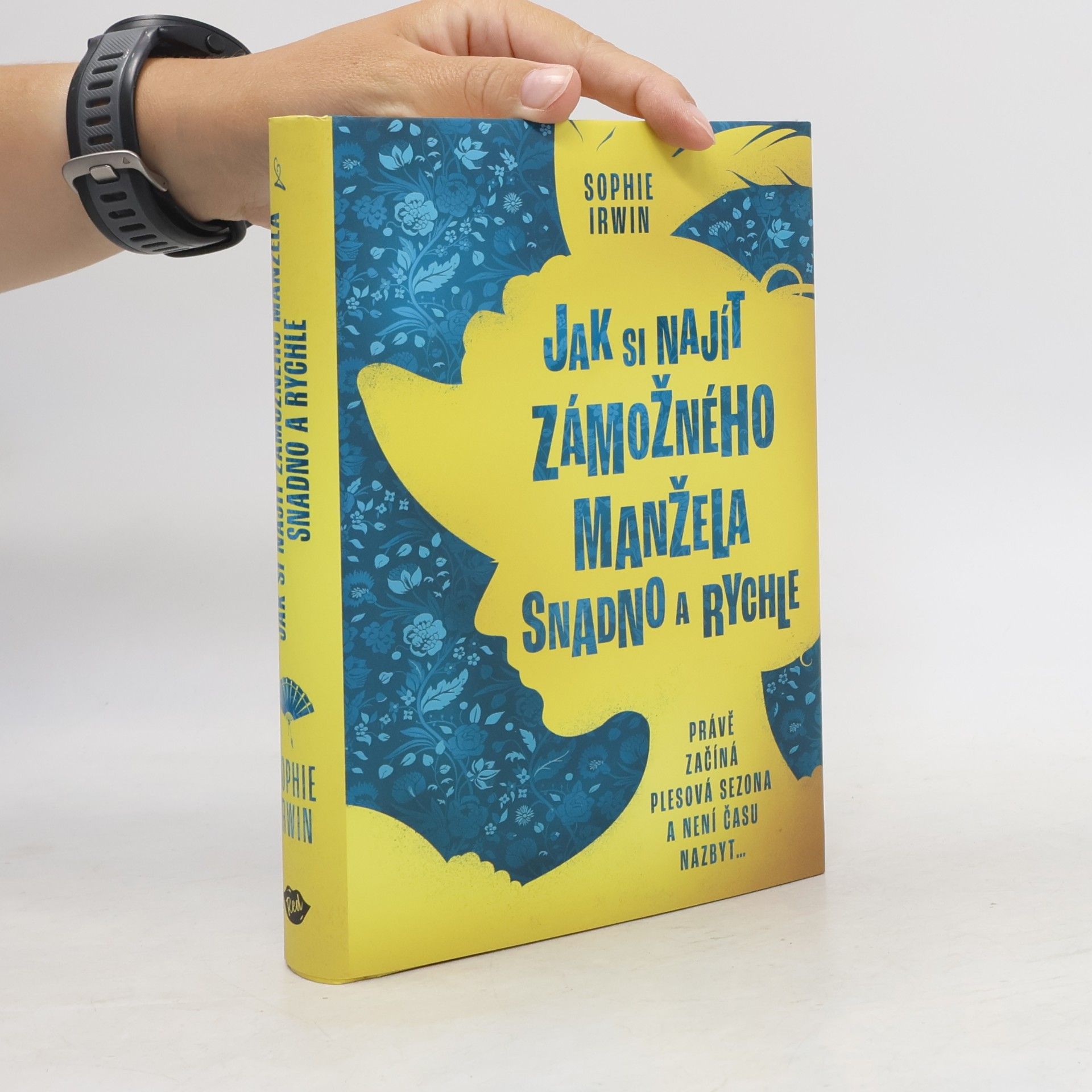 Sophie Irwin Jak si najít zámožného manžela snadno a rychle