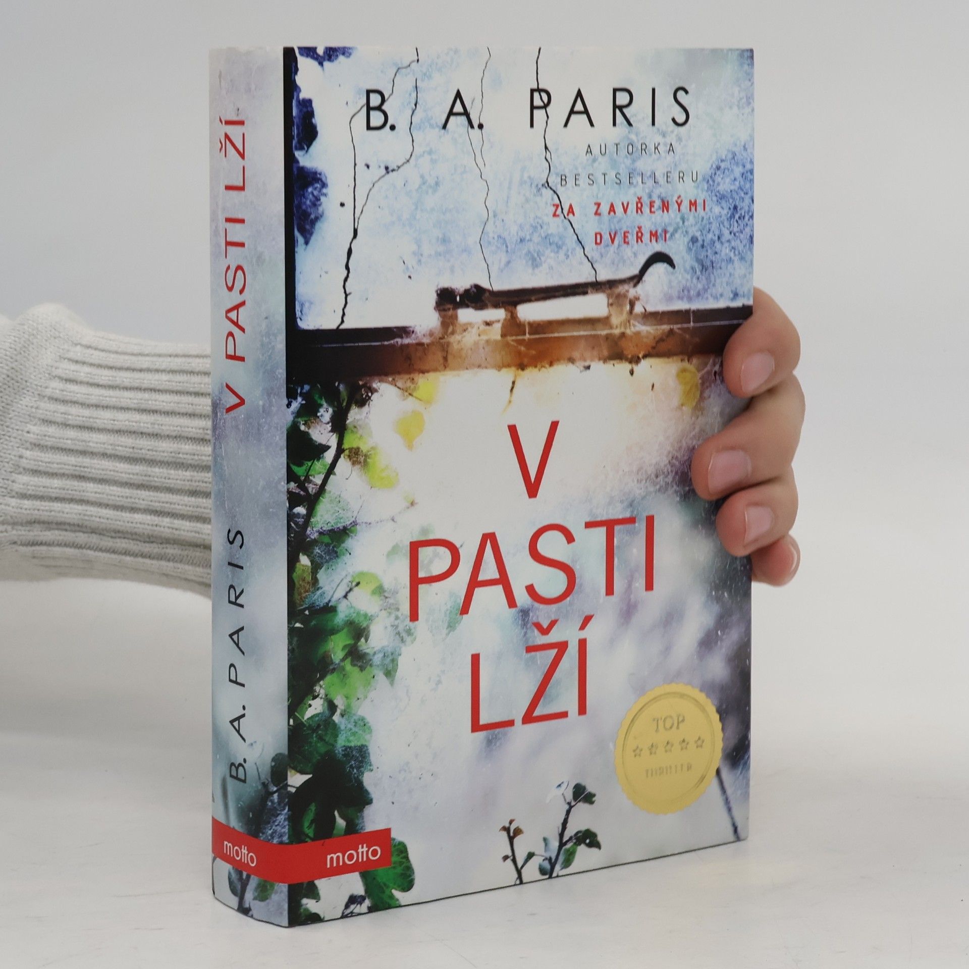 B. A. Paris V pasti lží