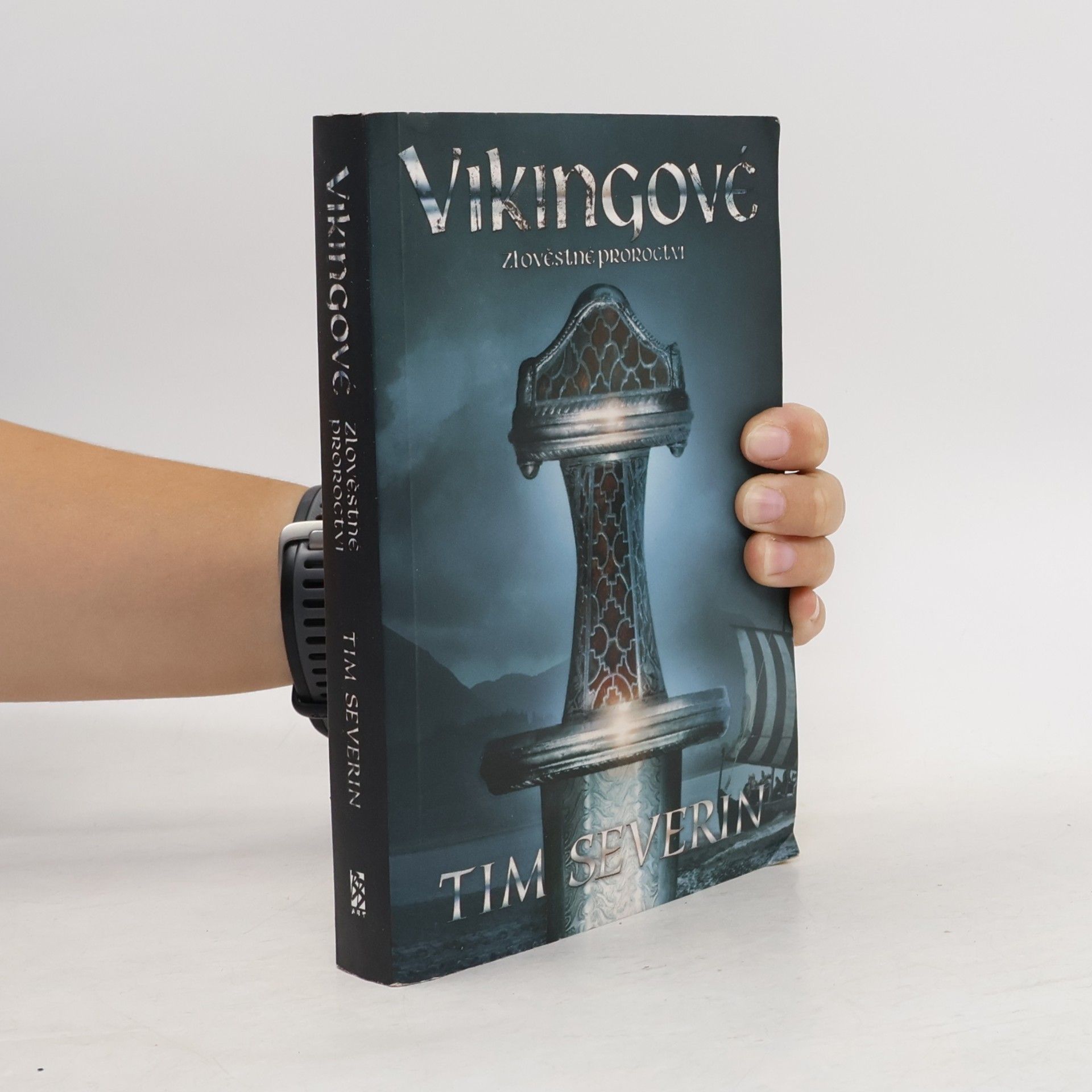 Timothy Severin Vikingové 2