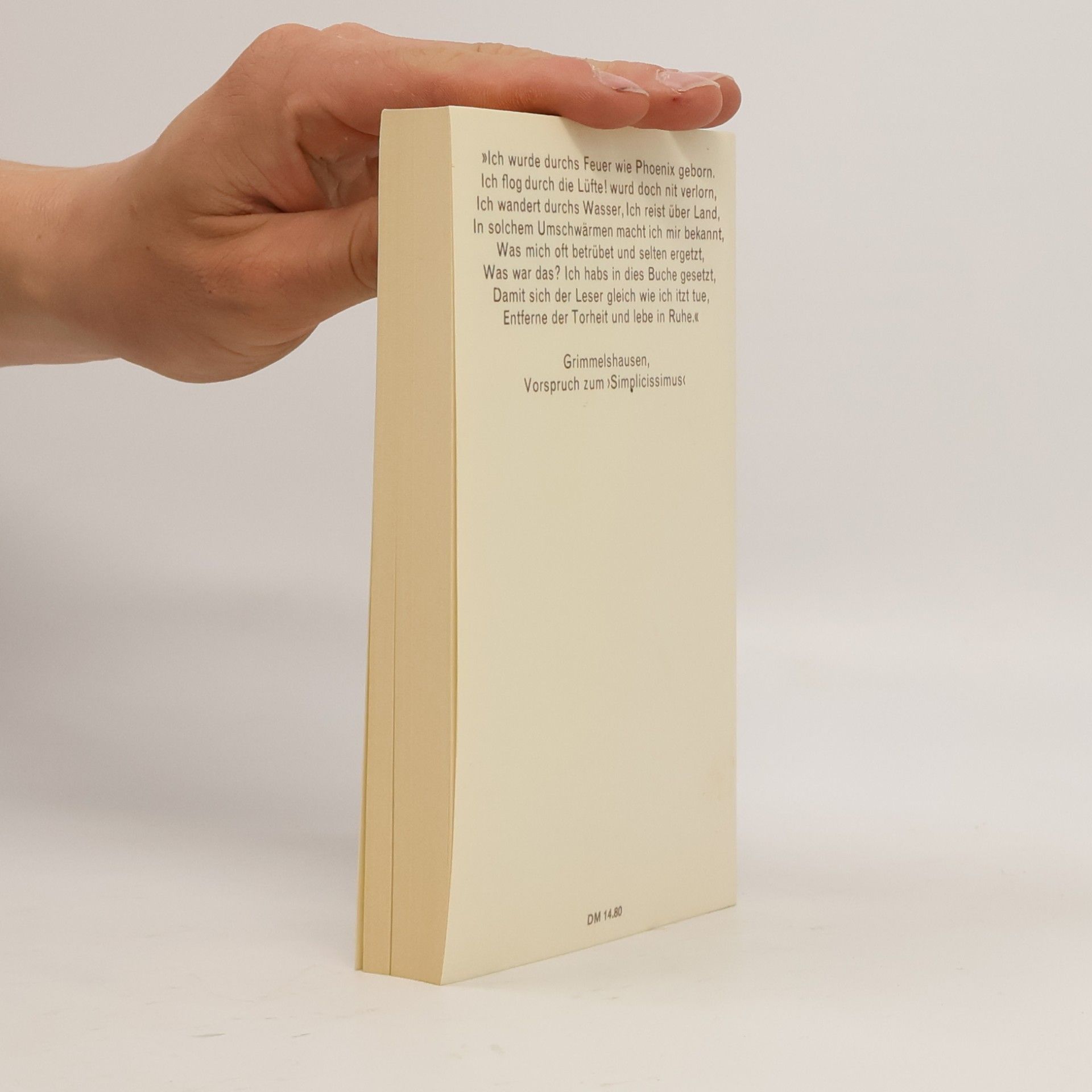 kolektiv Grimmelshausen Simplicius Simplicissimus - dtv weltliteratur Dünndruck-Ausgabe