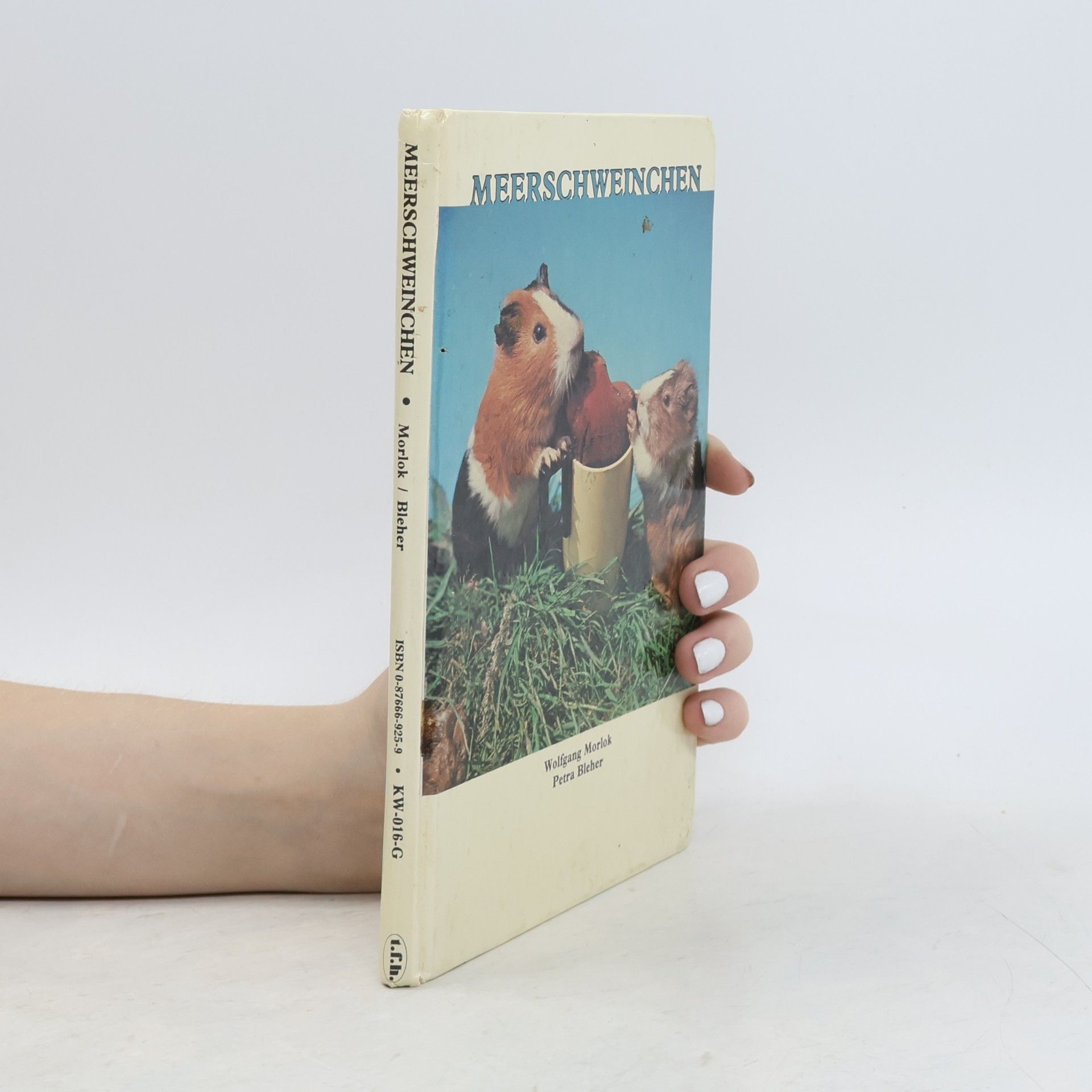 MEERSCHWEINCHEN