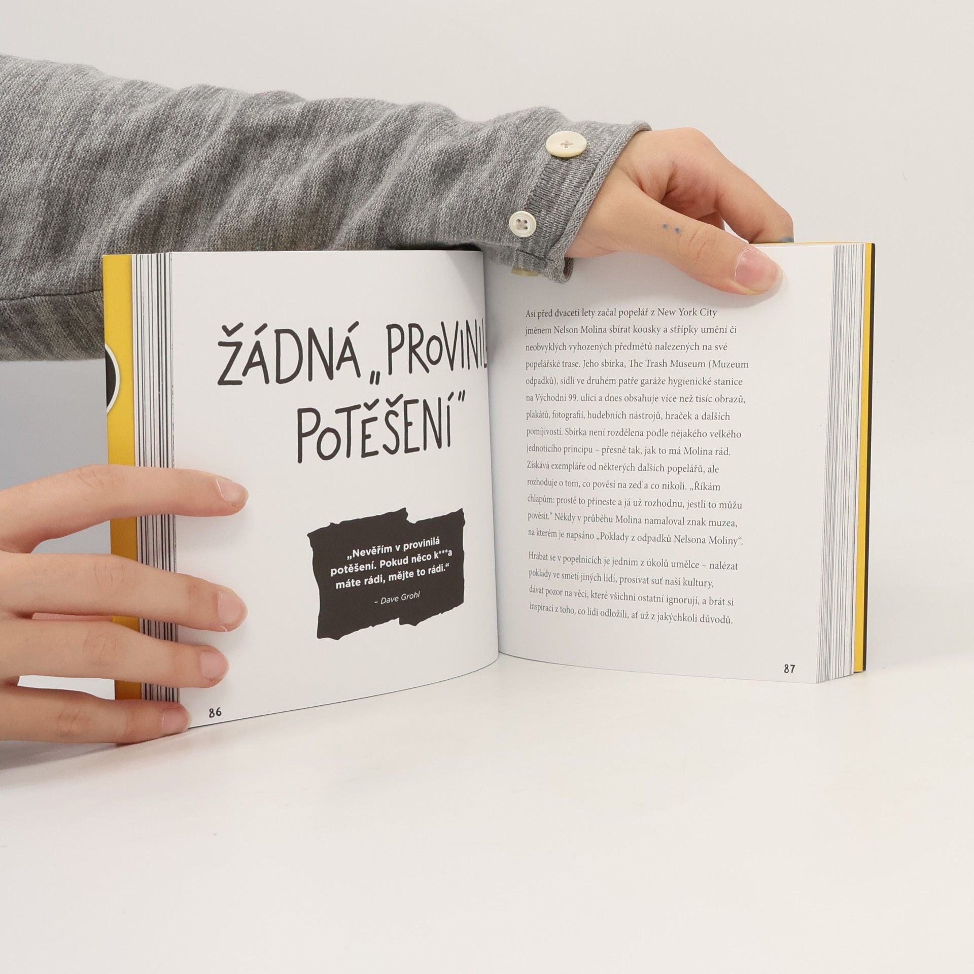 Austin Kleon Ukaž, co děláš! 10 způsobů, jak sdílet svou kreativitu a nechat se objevit
