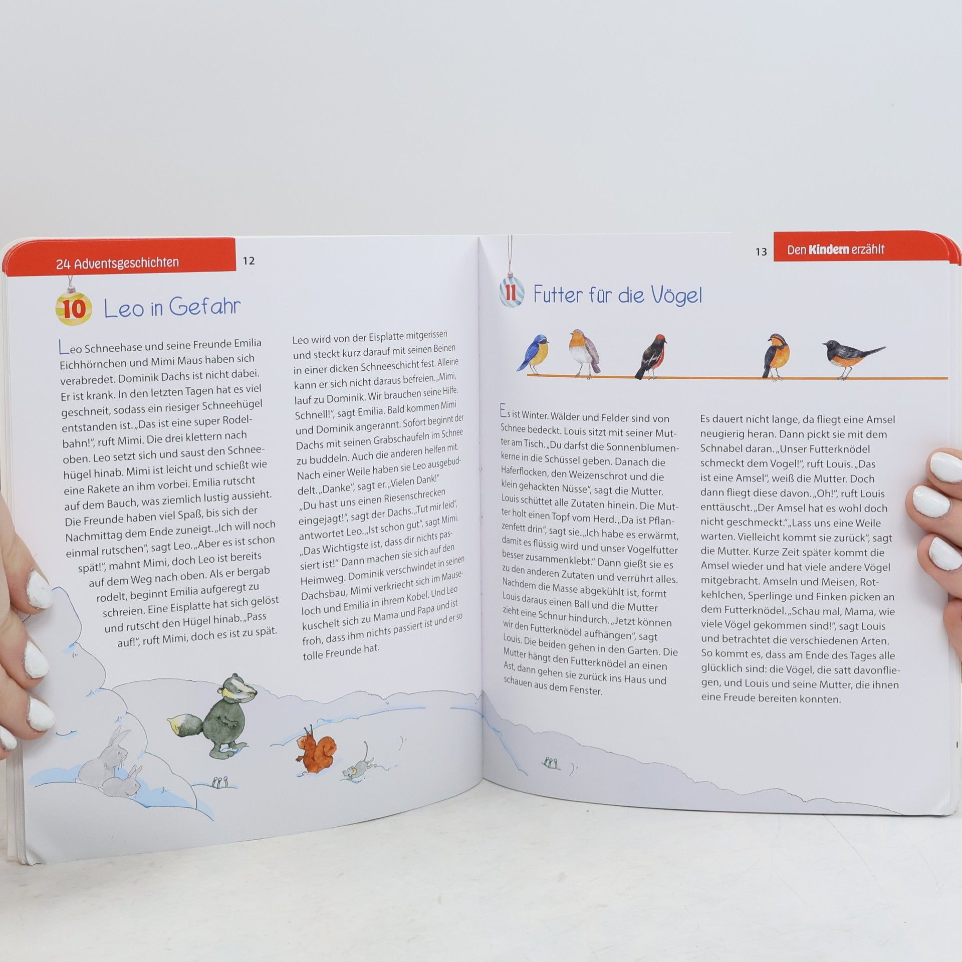 Eva Danner 24 Adventsgeschichten den Kindern erzählt