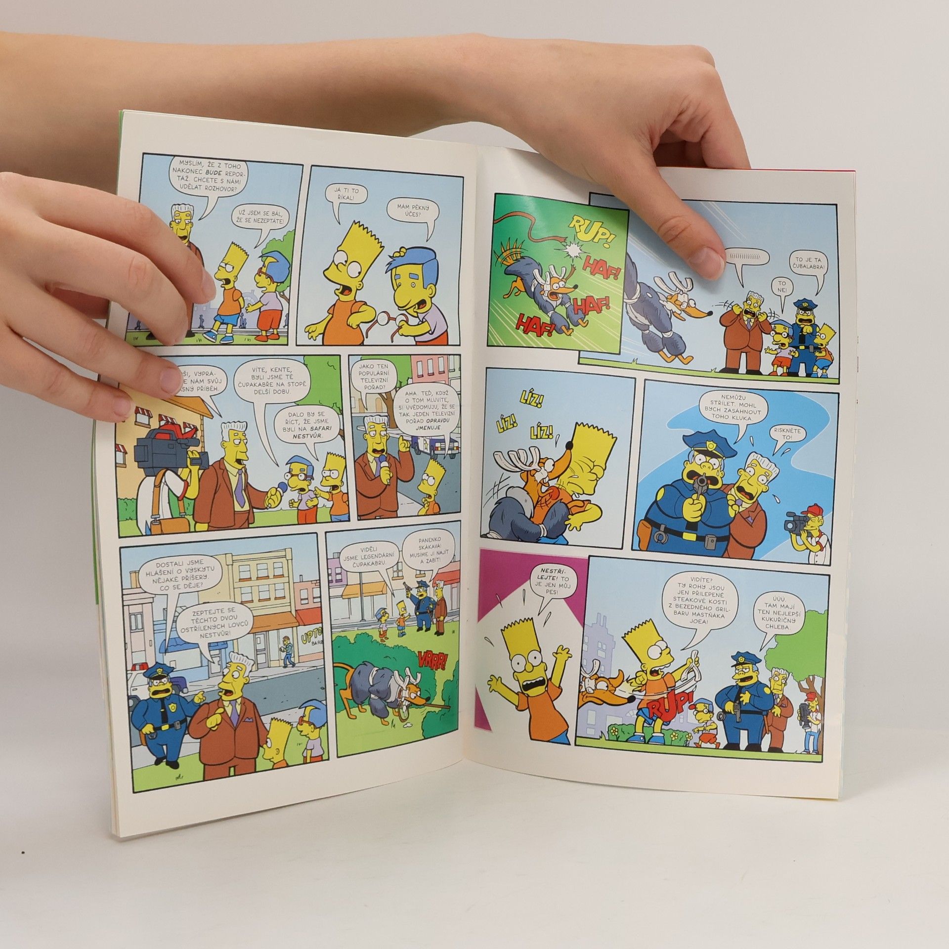 Tony DiGerolamo Simpsonovi - 7: Bart Simpson 01/2019: Kritický zásah