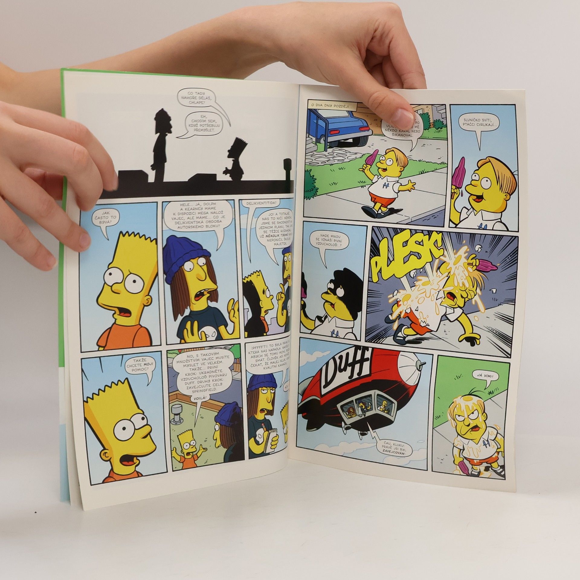 Ted May Bart Simpson 04/2019