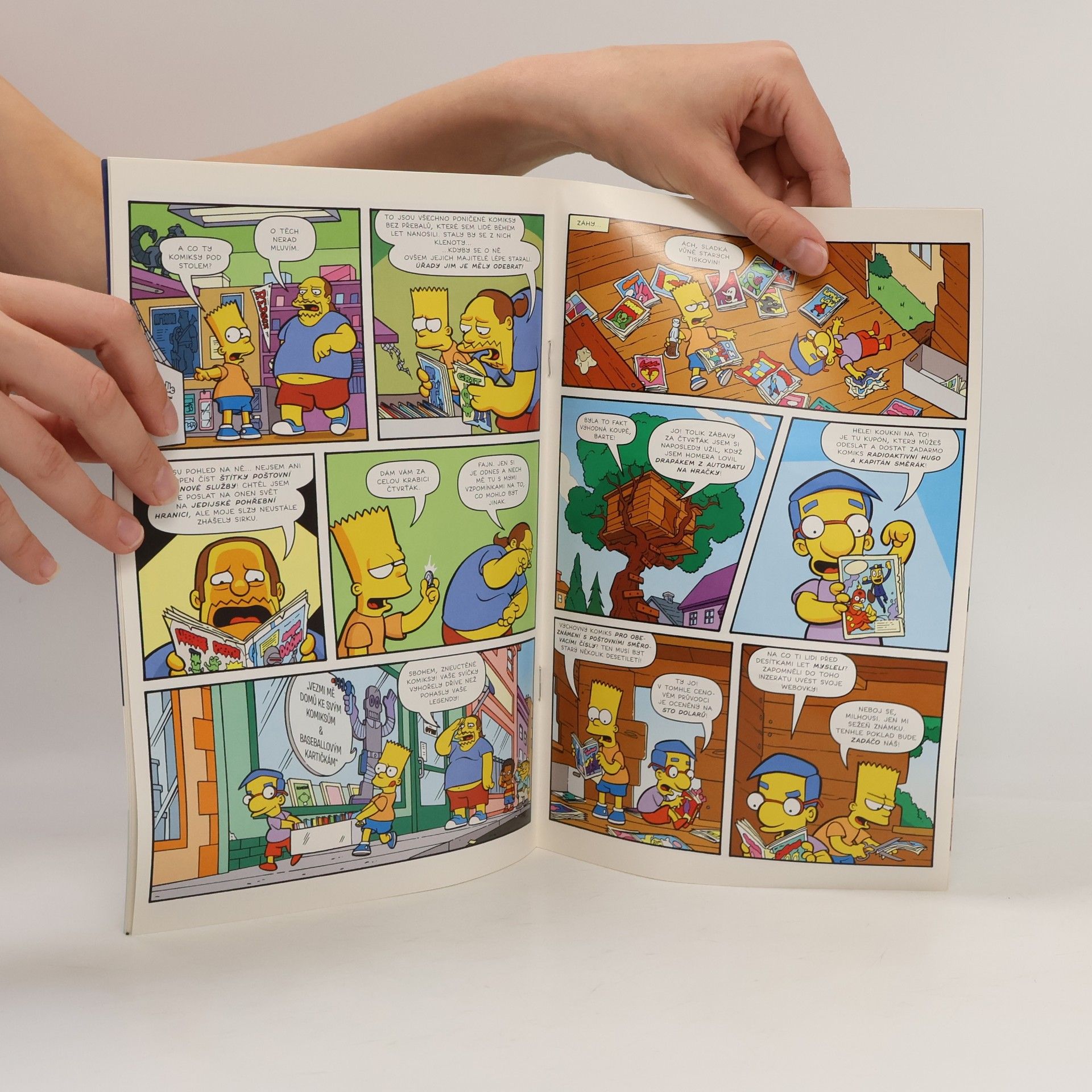 Ian Boothby Bart Simpson 01/2020