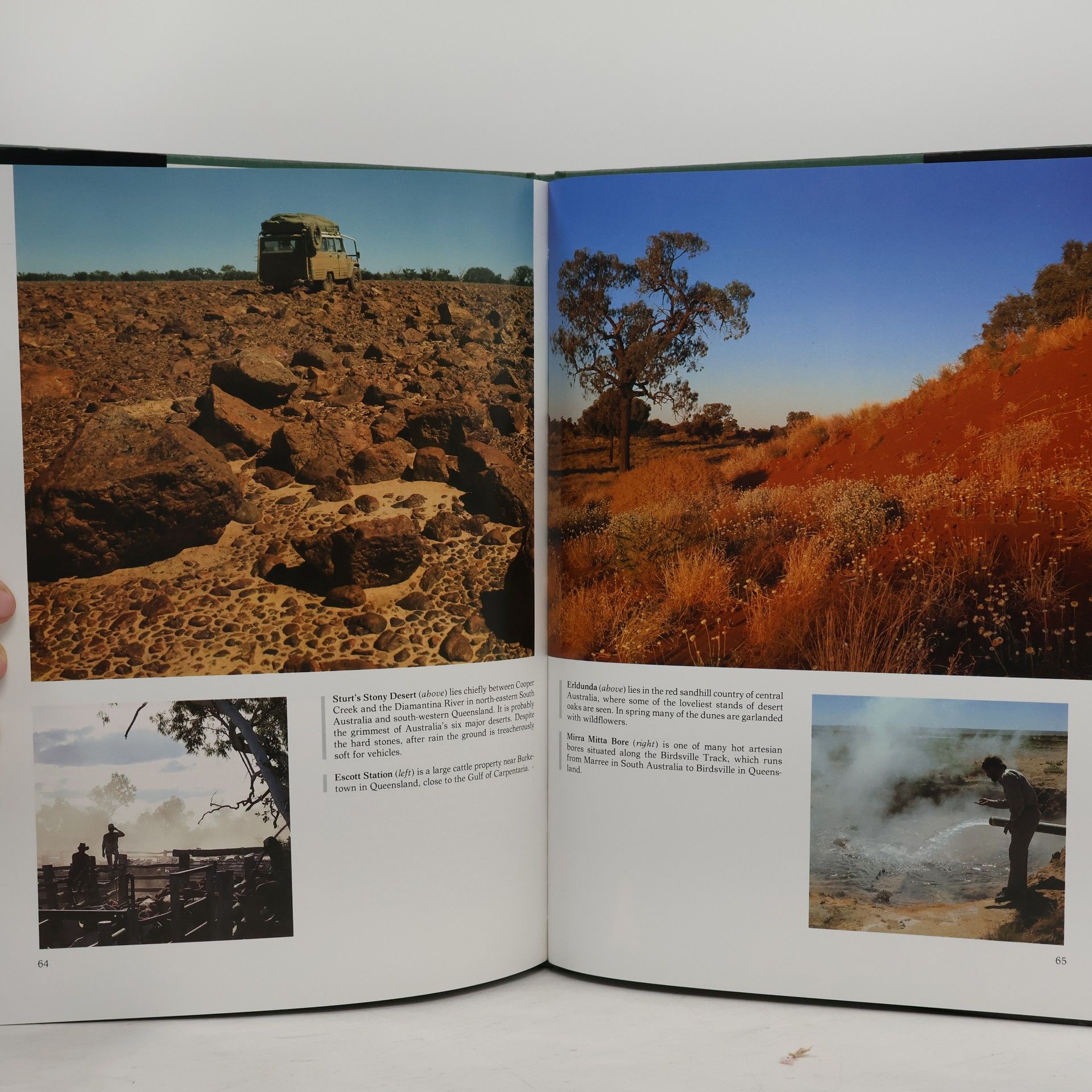 Jocelyn Burt Incredible Australia