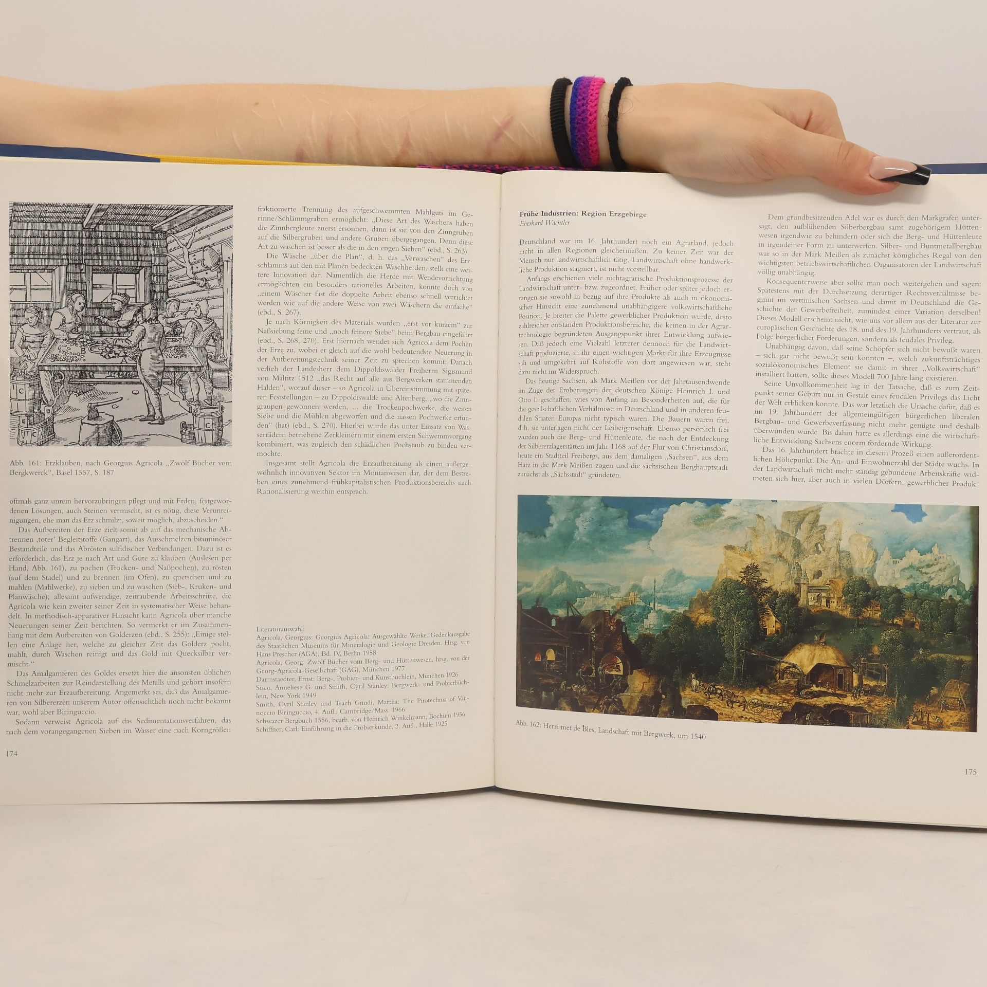Christoph Bartels Georgius Agricola, Bergwelten 1494 - 1994