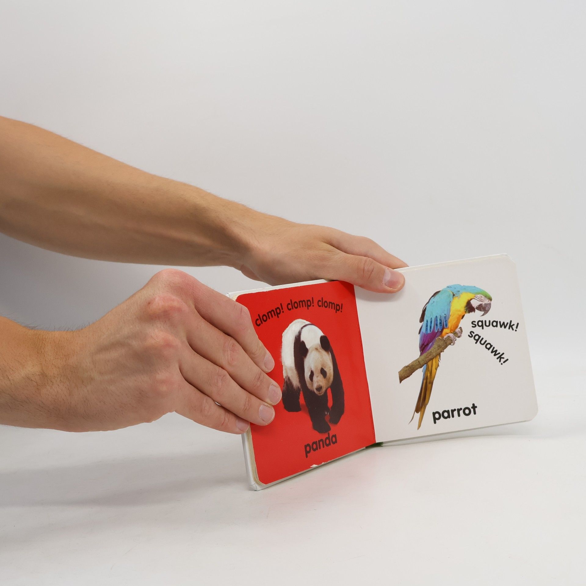 Howard Hughes Baby Touch and Feel: Wild Animals