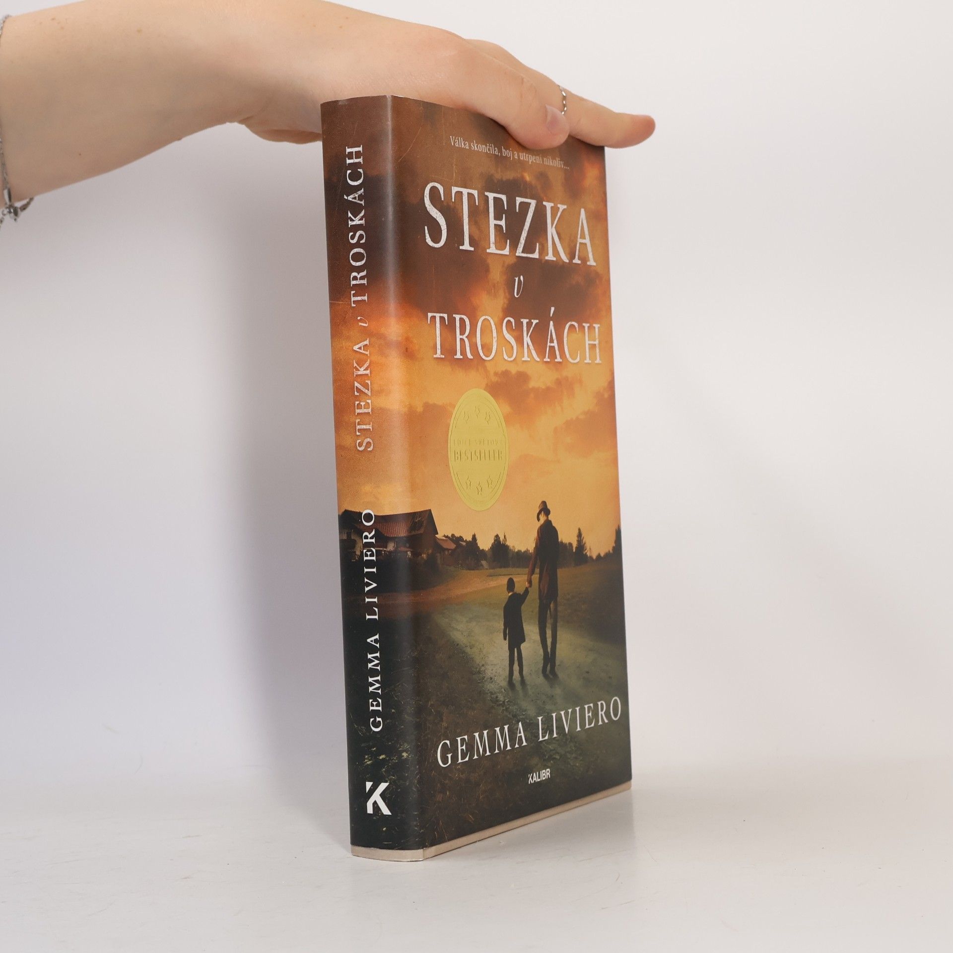 Stezka v troskách