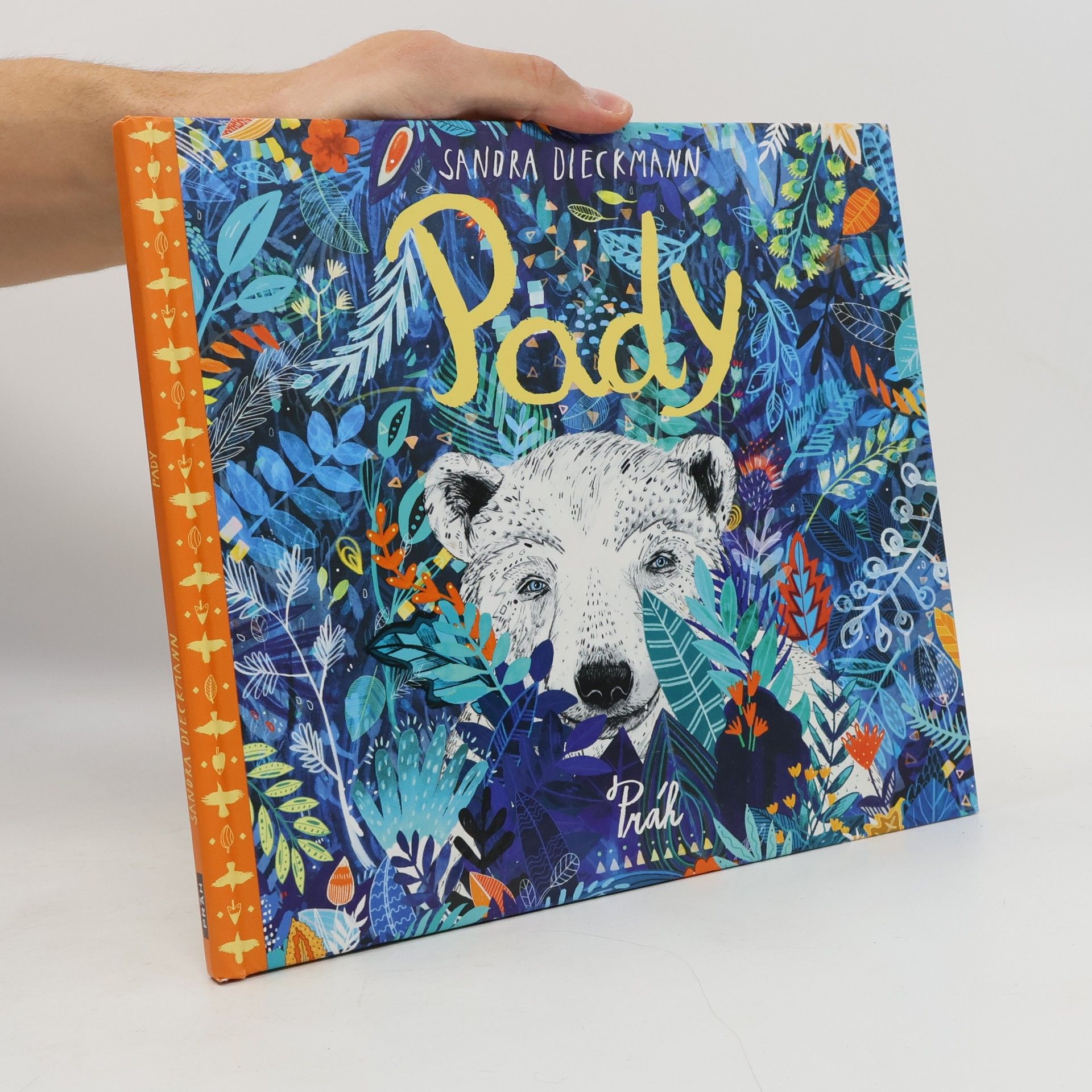 Sandra Dieckmann Pady