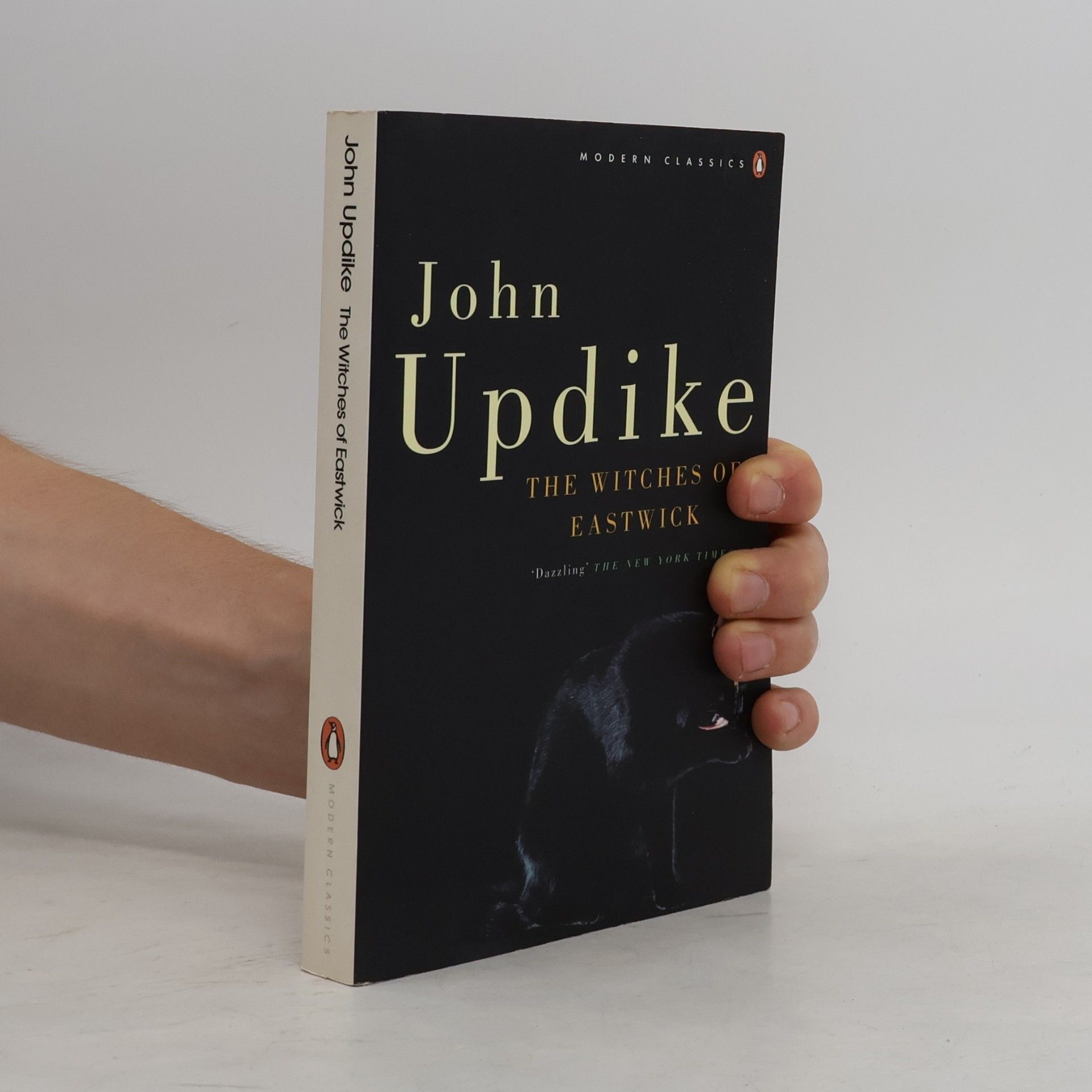 John Updike The Witches of Eastwick