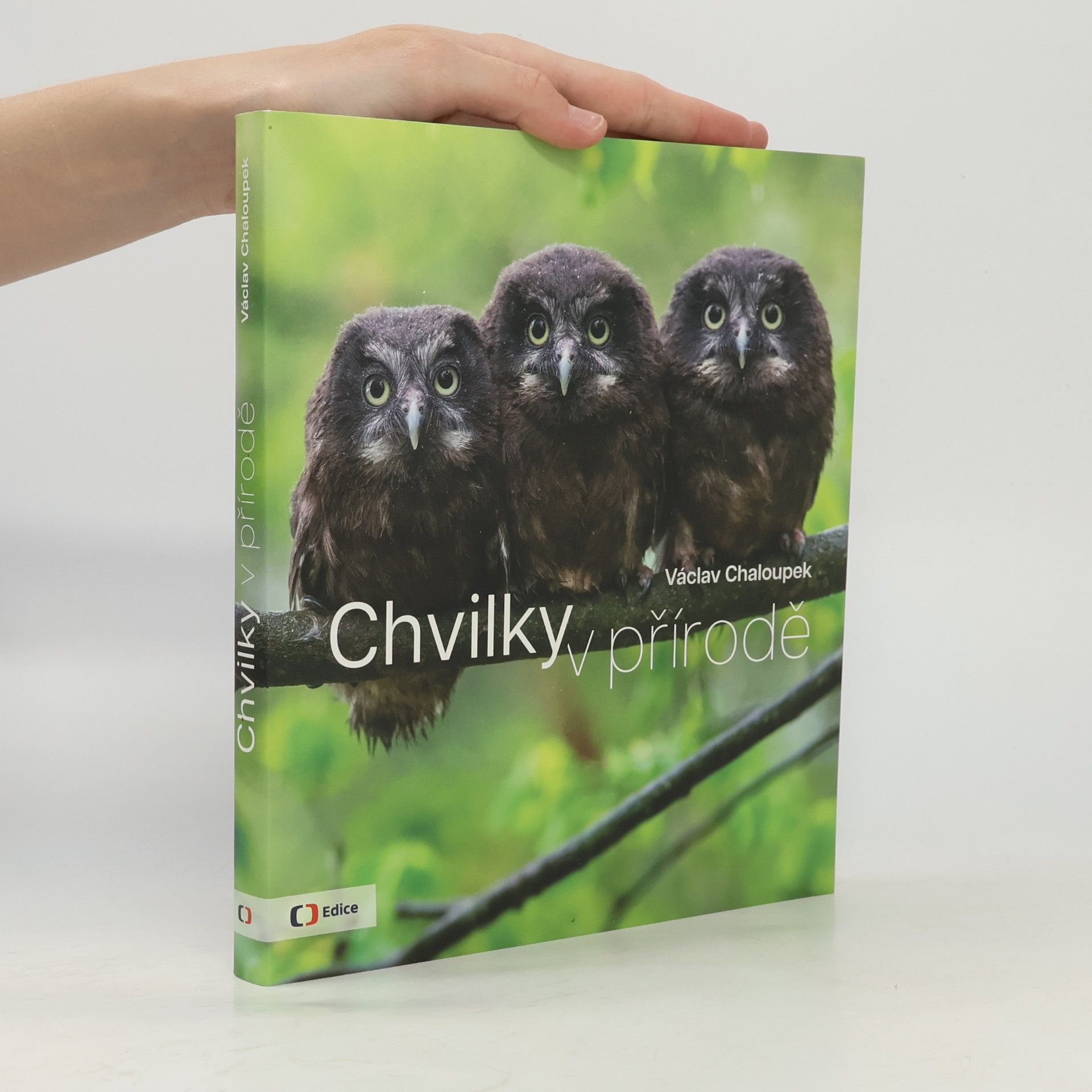 Chvilky v přírodě