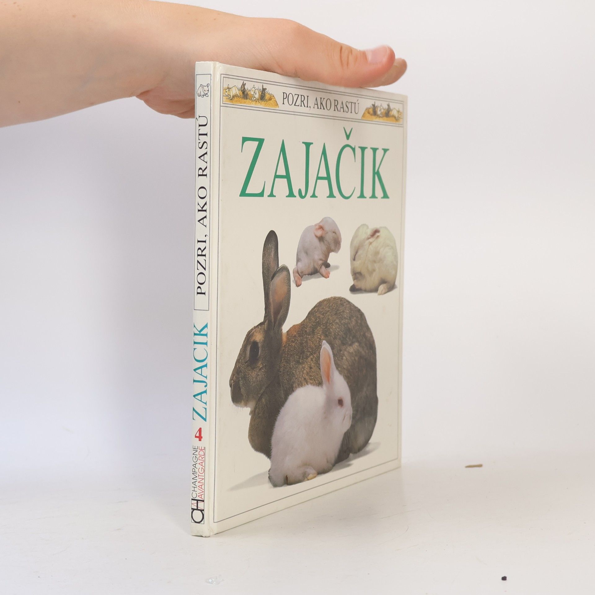 kolektiv Pozri, ako rastú - 4: Zajačik
