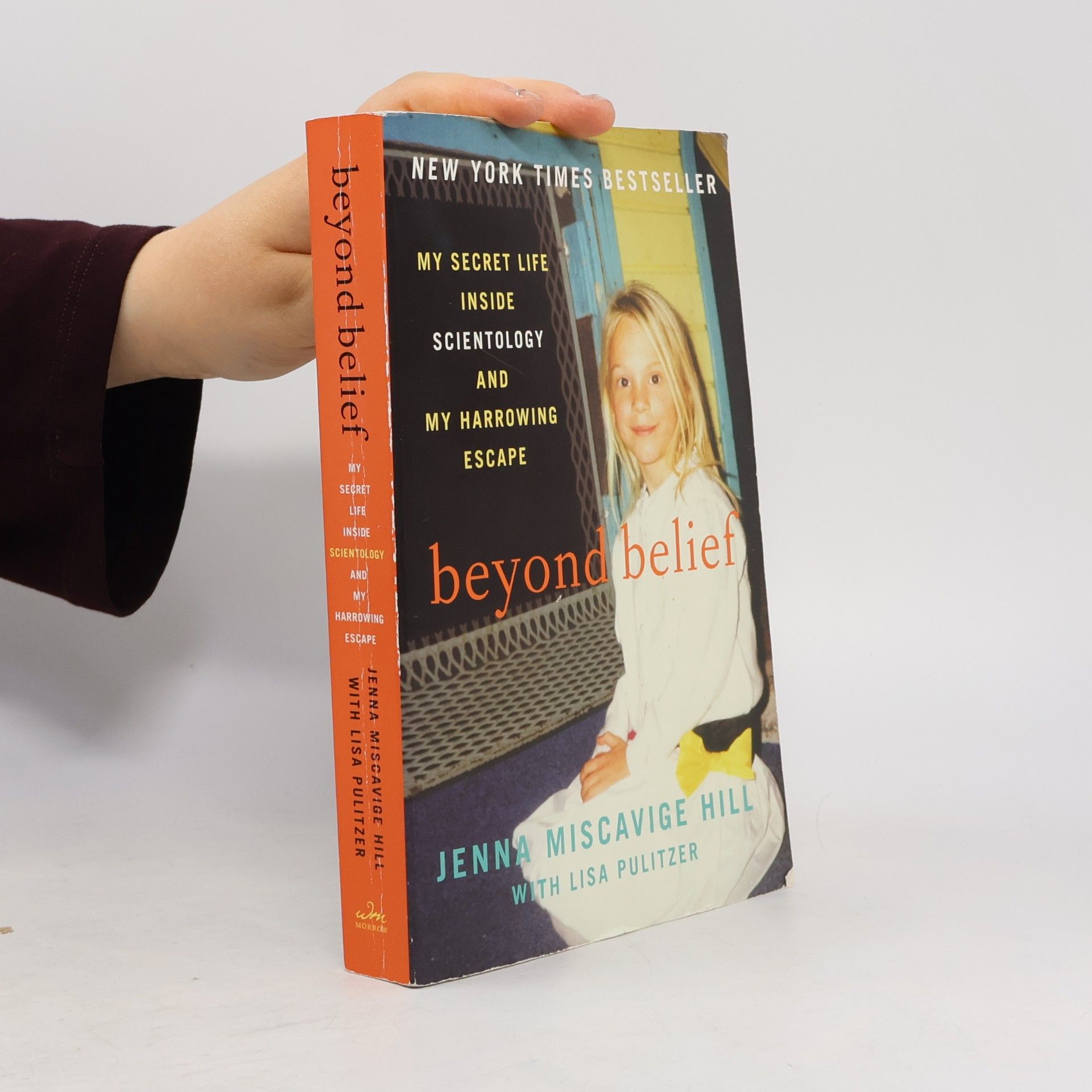 Lisa Pulitzer Beyond Belief