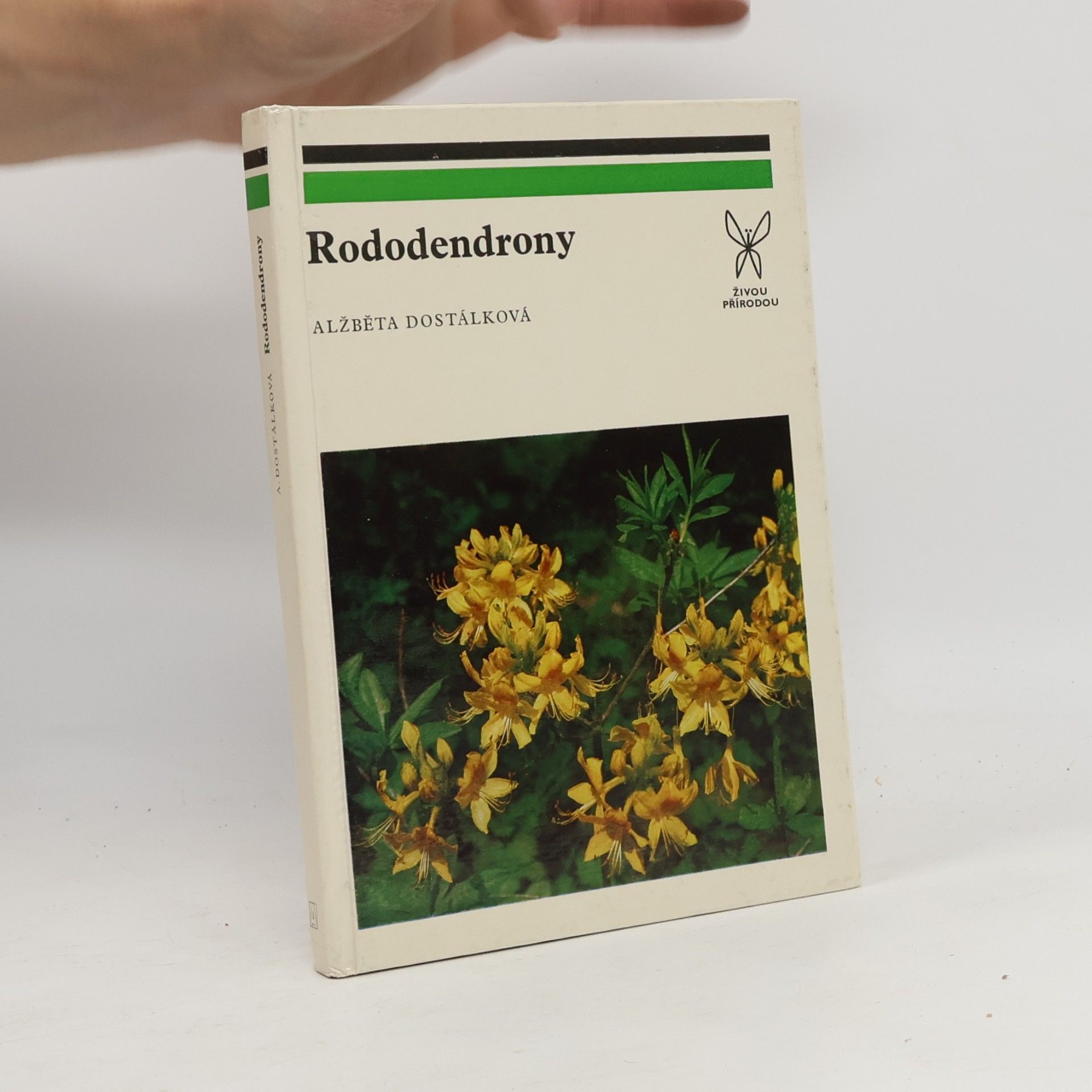 Alžběta Dostálková Rododendrony