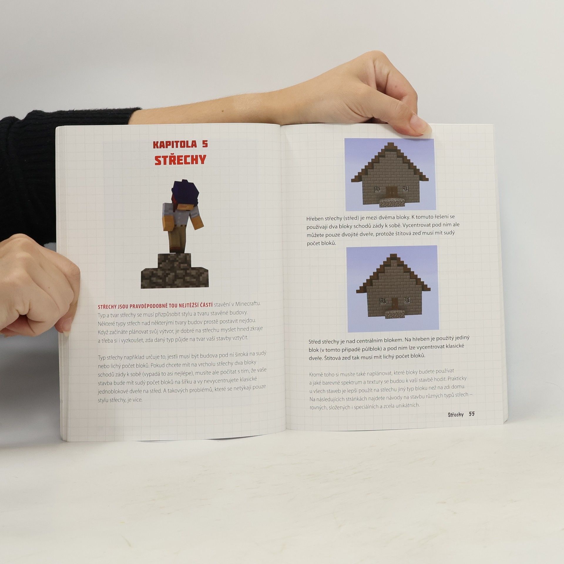Megan Miller Minecrafťák architekt 2