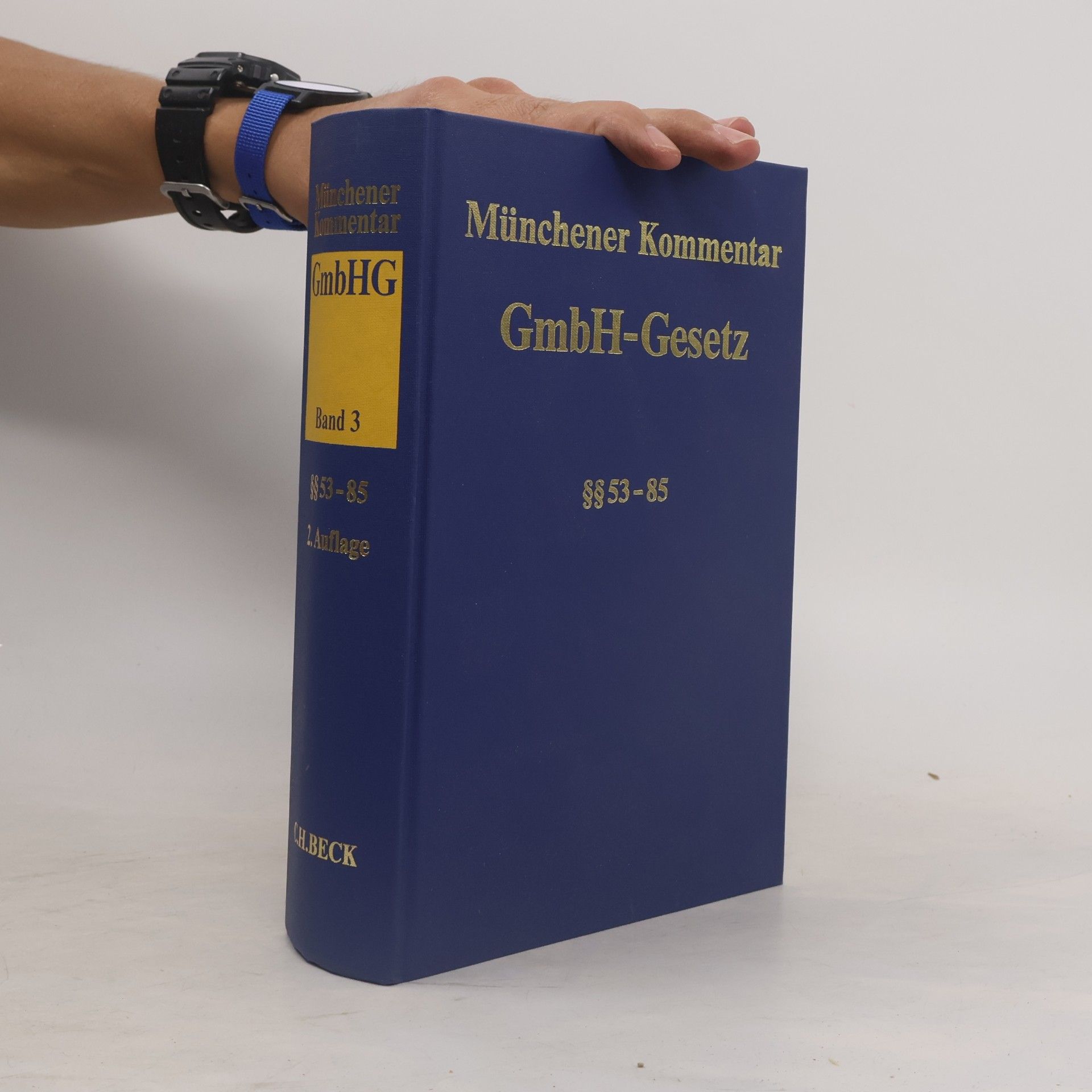 Holger Fleischer Münchener Kommentar zum Gesetz betreffend die Gesellschaften mit beschränkter Haftung (GmbHG)