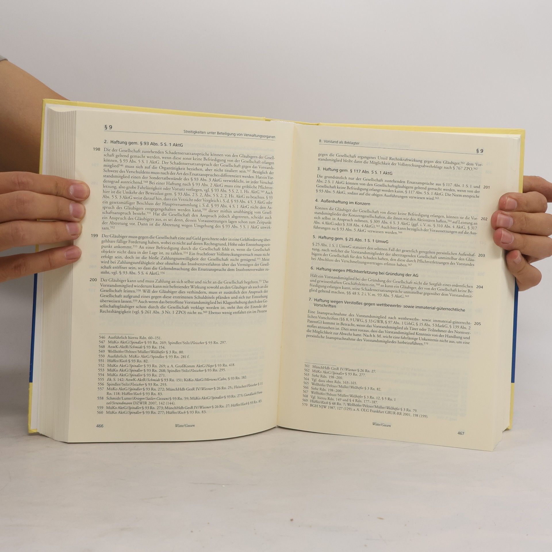 Kim Lars Mehrbrey Handbuch gesellschaftsrechtliche Streitigkeiten: Corporate Litigation - 2. Auflage