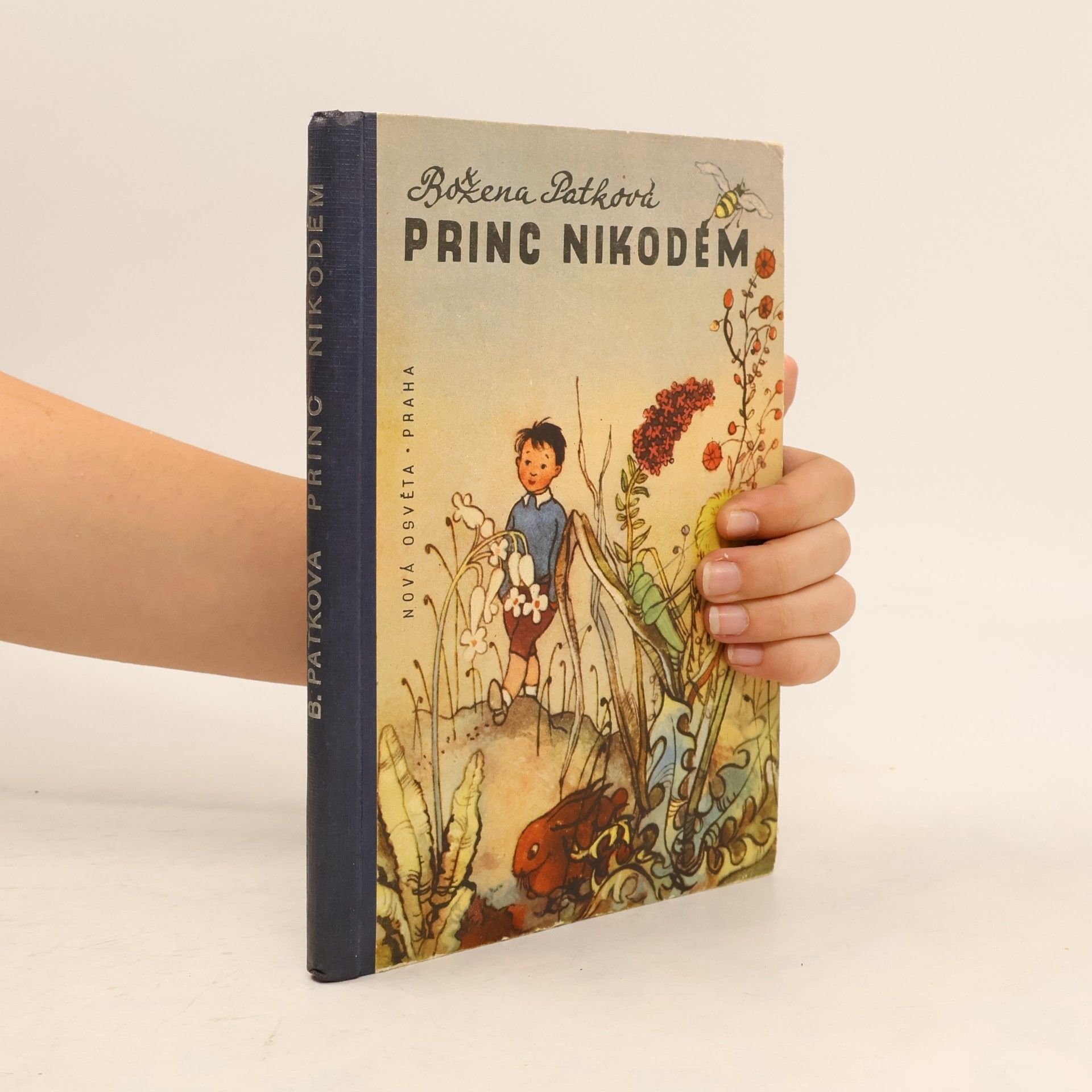 Patková Božena Princ Nikodém