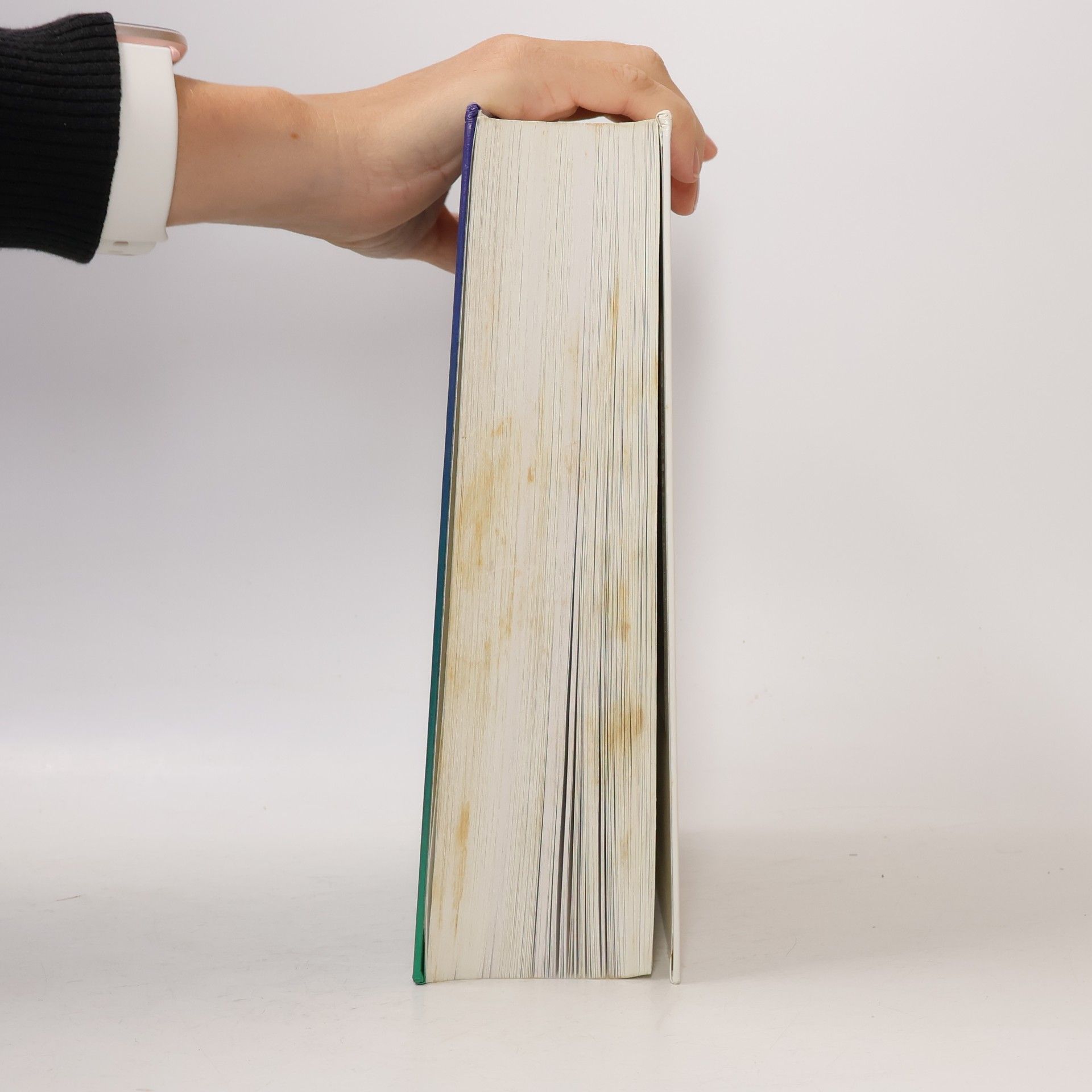 Stefan Dittrich Das grosse Visual-Basic-Buch
