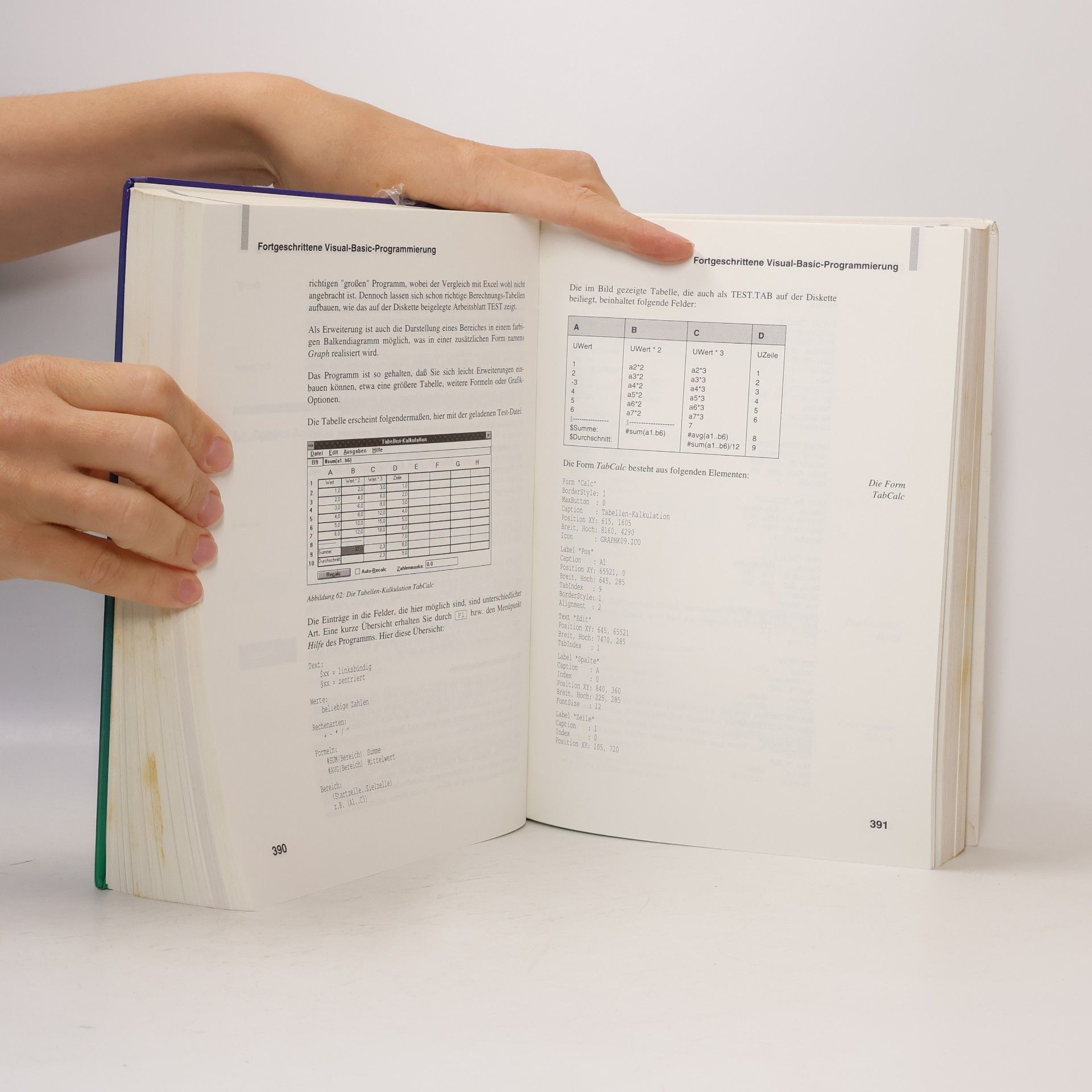 Stefan Dittrich Das grosse Visual-Basic-Buch