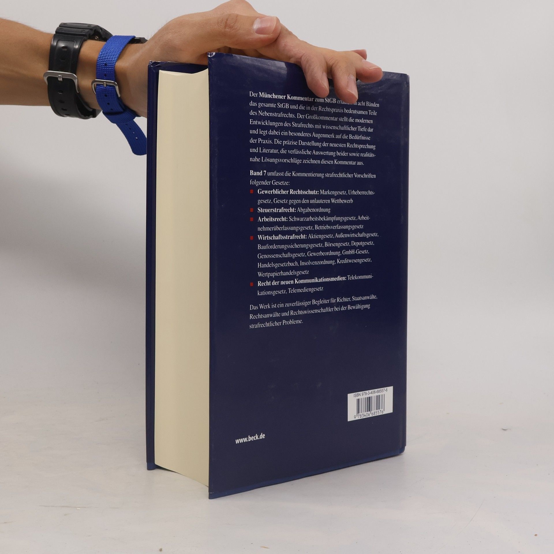 Karsten Altenhain Strafgesetzbuch 7