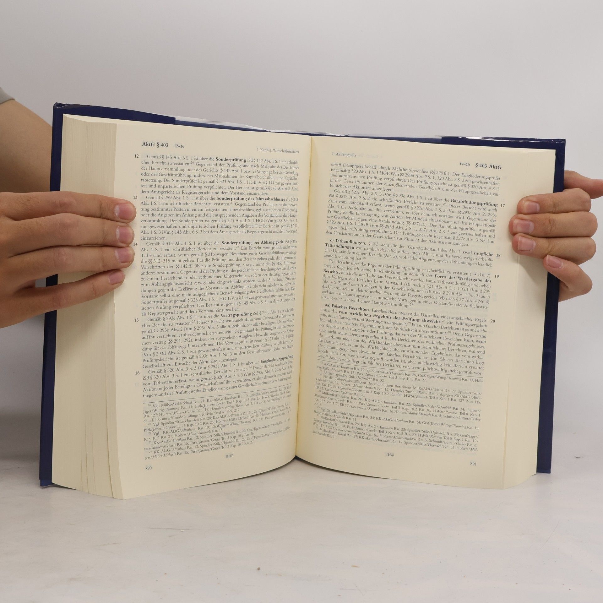 Karsten Altenhain Strafgesetzbuch 7