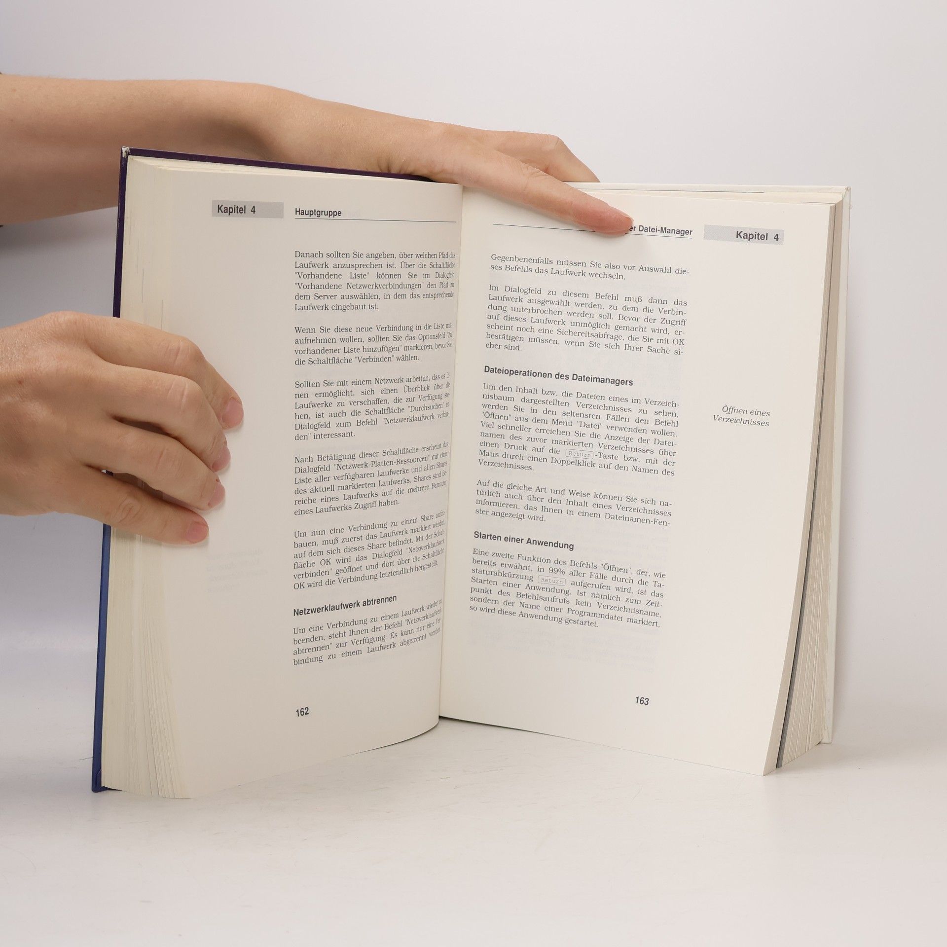 Harald Frater Das grosse WINDOWS-3-Buch