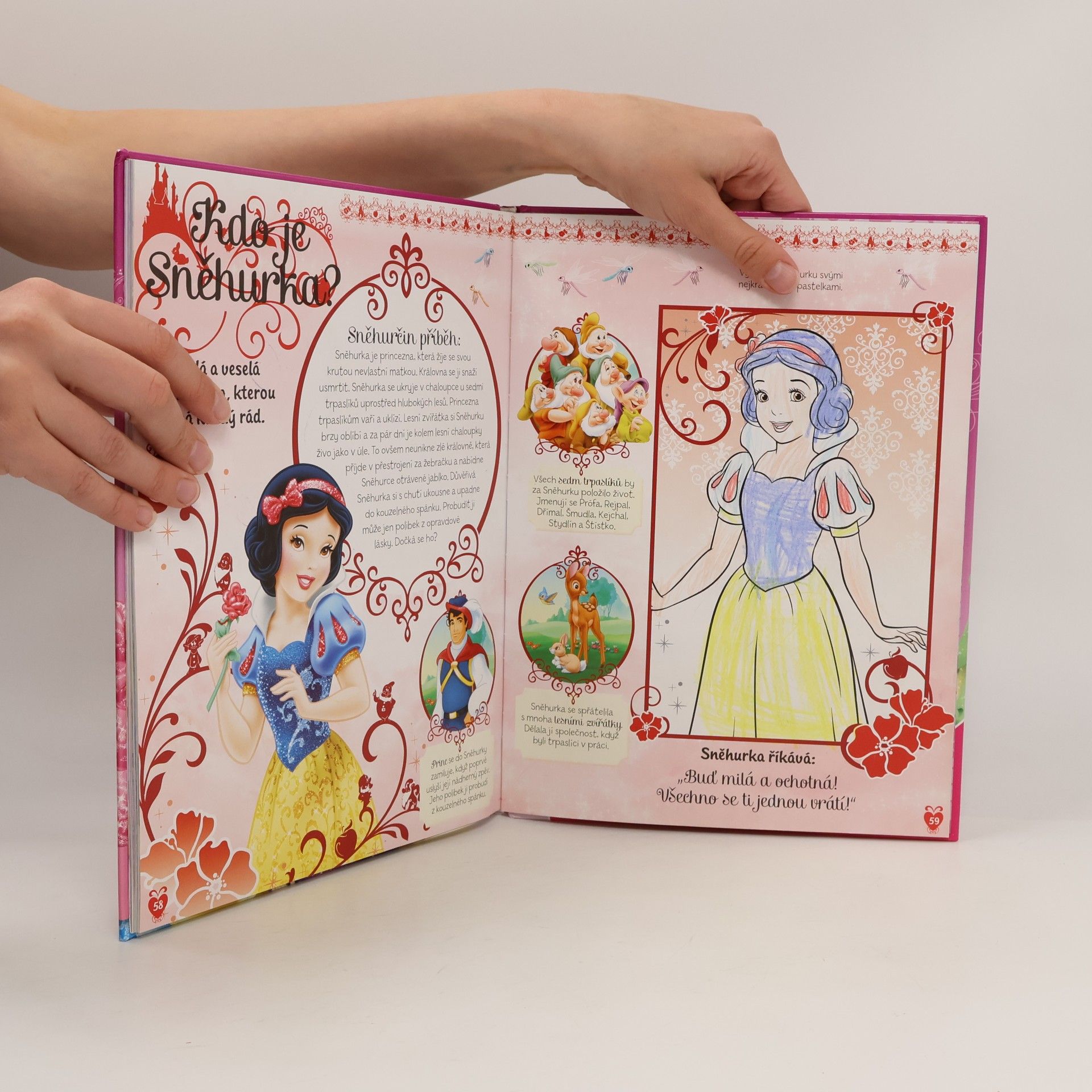 Kate Graham Princezna : knížka na celý rok