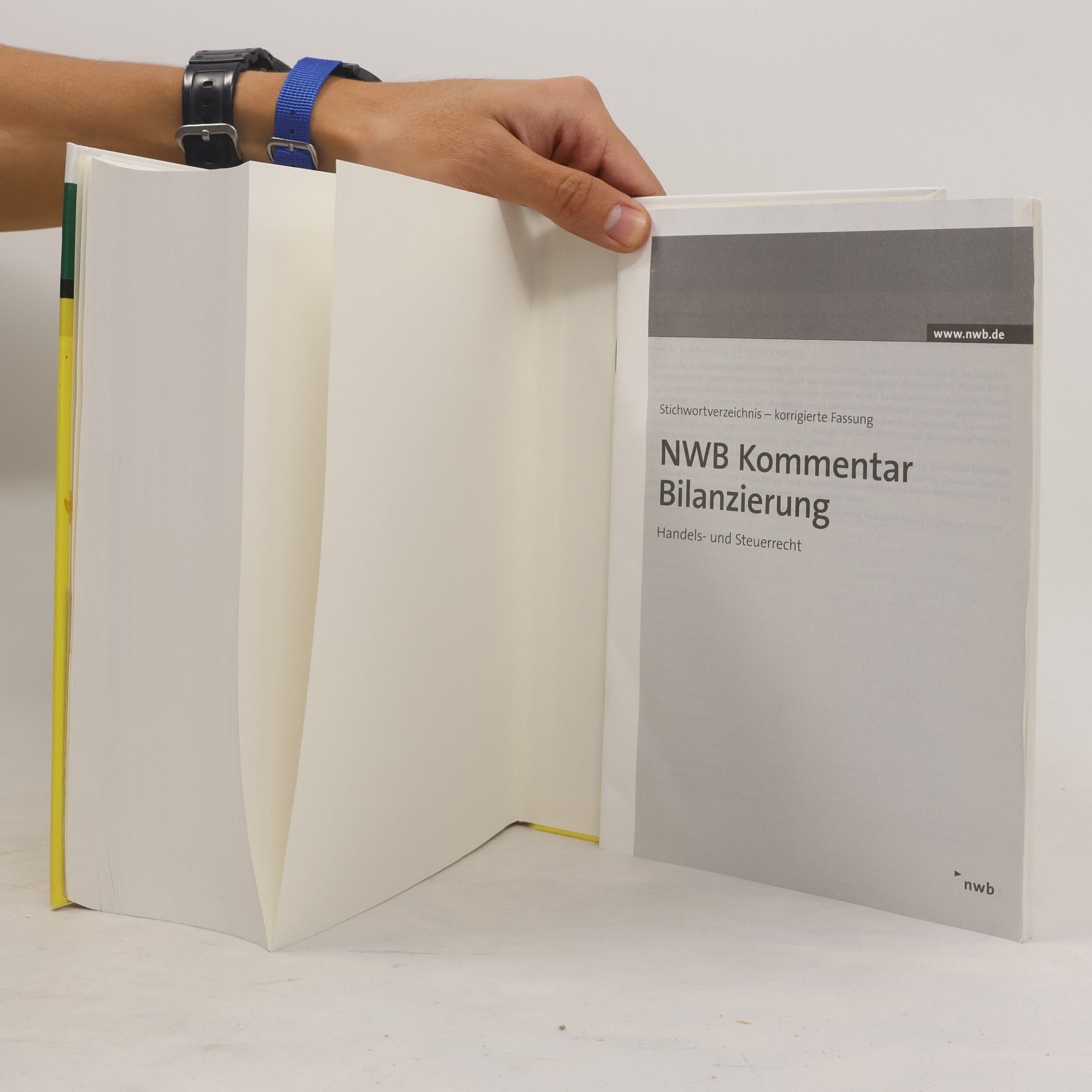 Wolf-Dieter Hoffmann NWB-Kommentar Bilanzierung